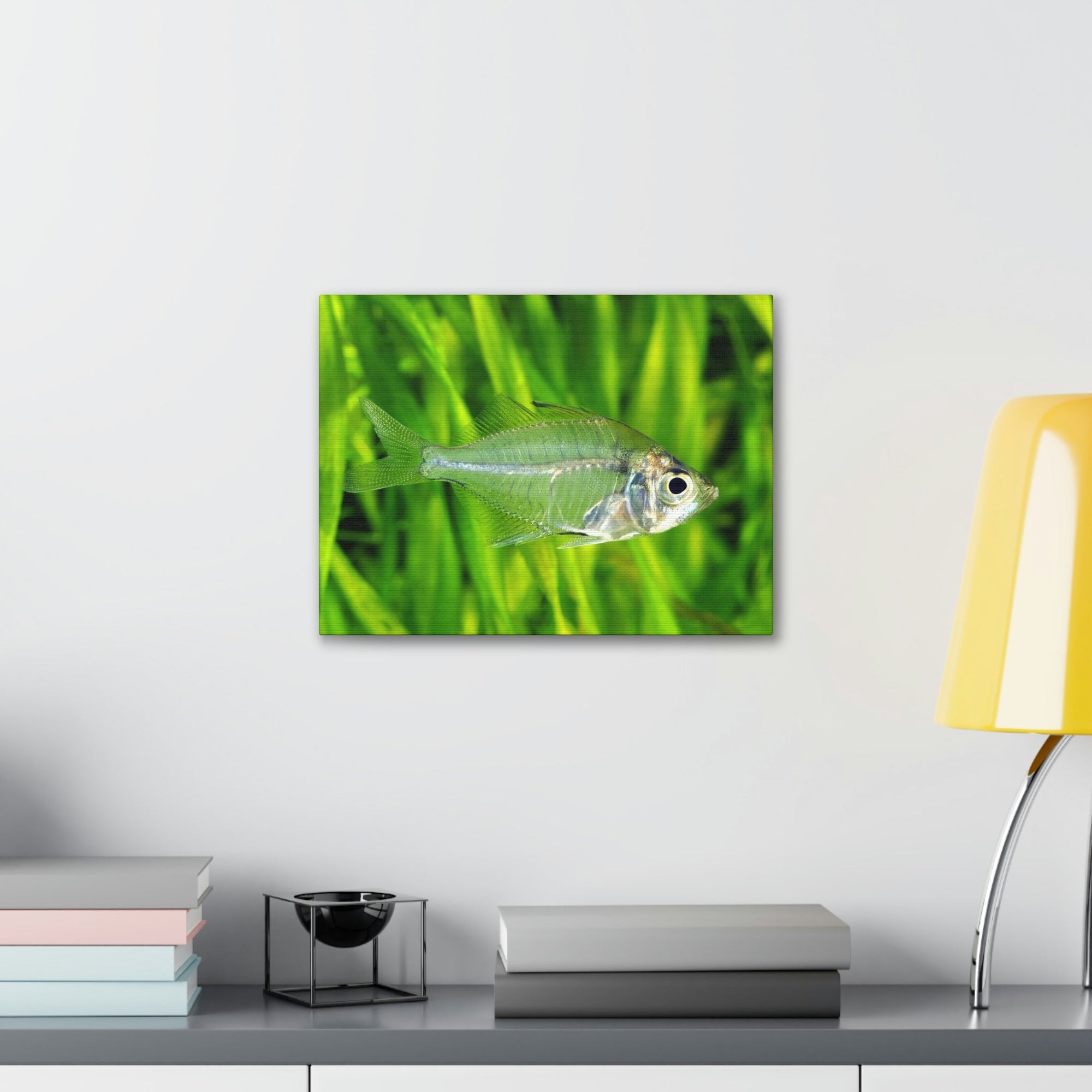 Funny X-Ray Fish Silly X-Ray Fish Scene Outside Wall Art Ready to Hang Unframed-Express Your Love Gifts