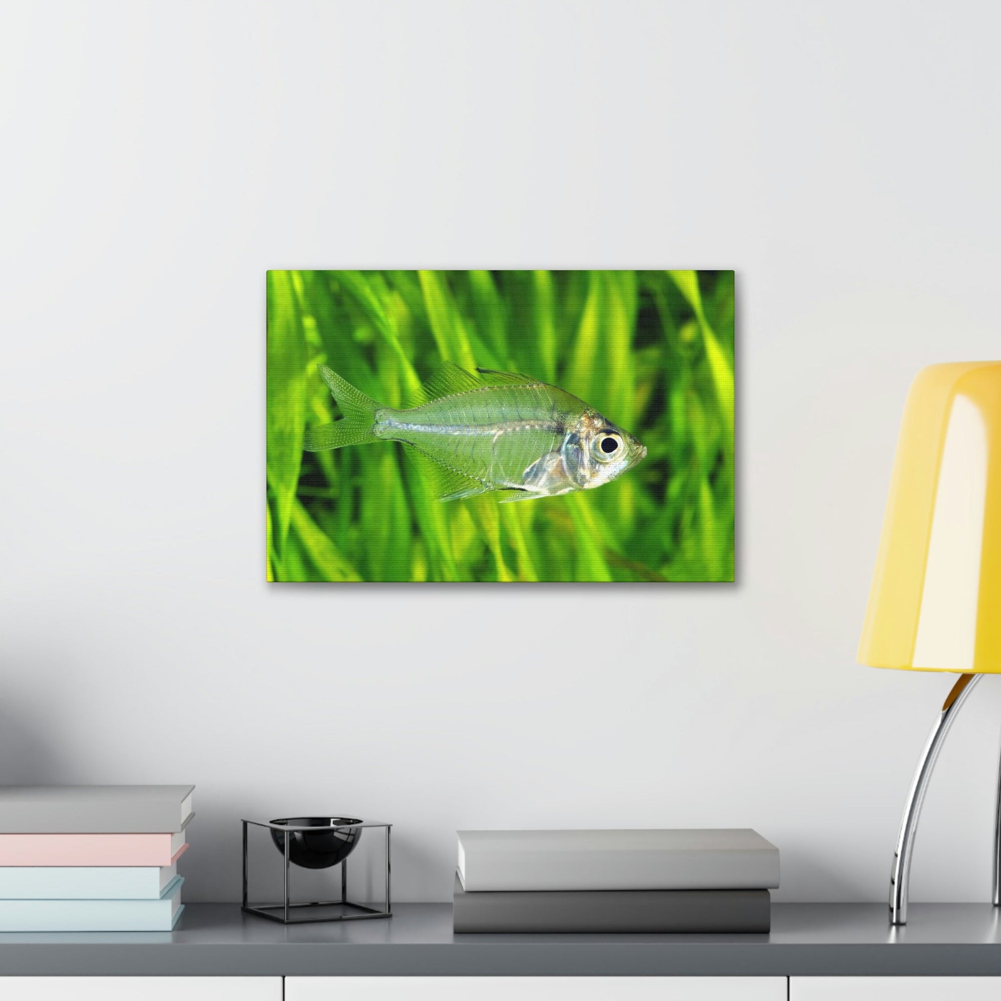 Funny X-Ray Fish Silly X-Ray Fish Scene Outside Wall Art Ready to Hang Unframed-Express Your Love Gifts