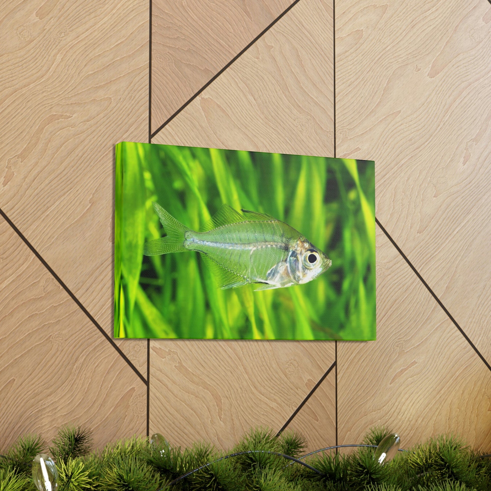 Funny X-Ray Fish Silly X-Ray Fish Scene Outside Wall Art Ready to Hang Unframed-Express Your Love Gifts