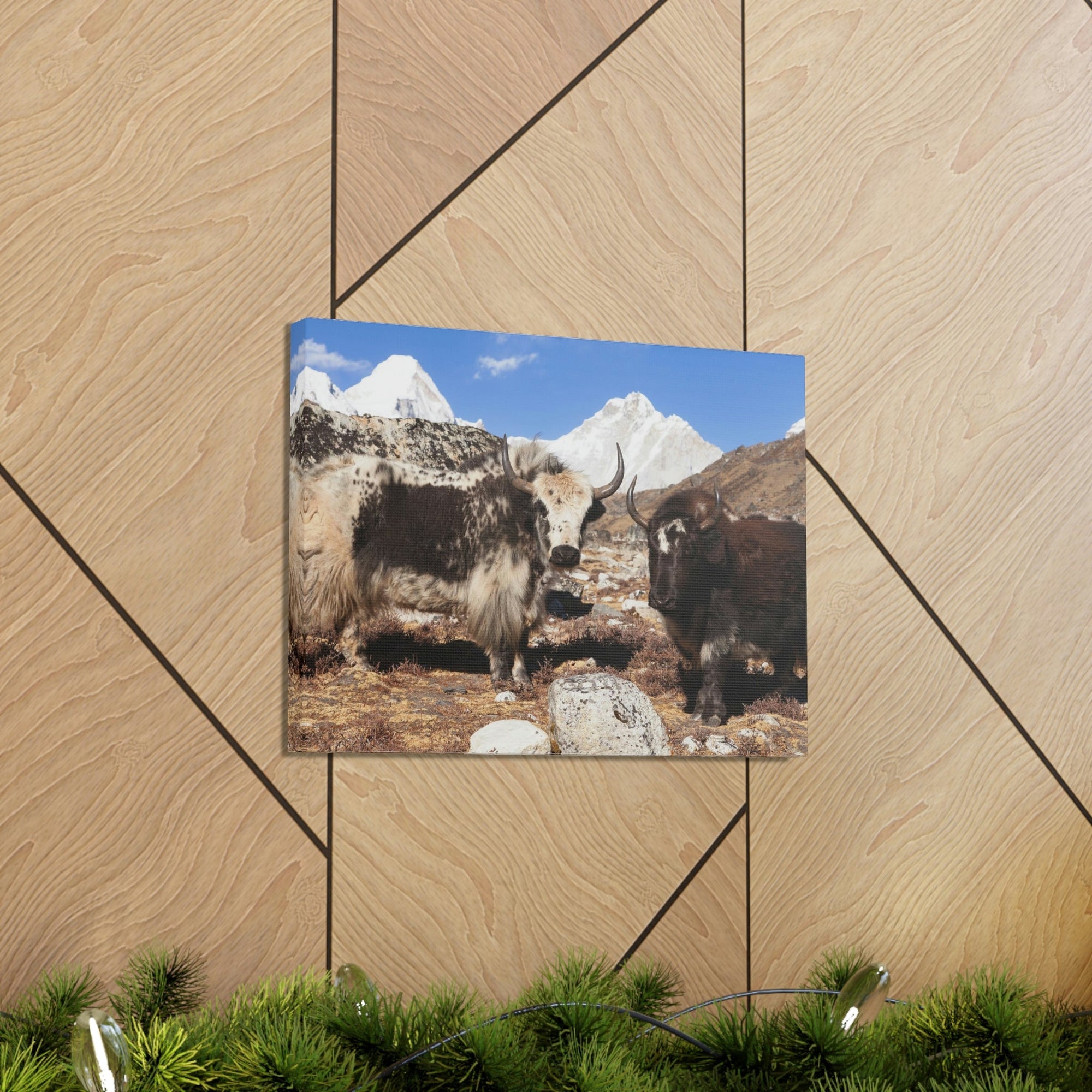 Funny Yak Silly Yak Scene Couple Wall Art Ready to Hang Unframed-Express Your Love Gifts