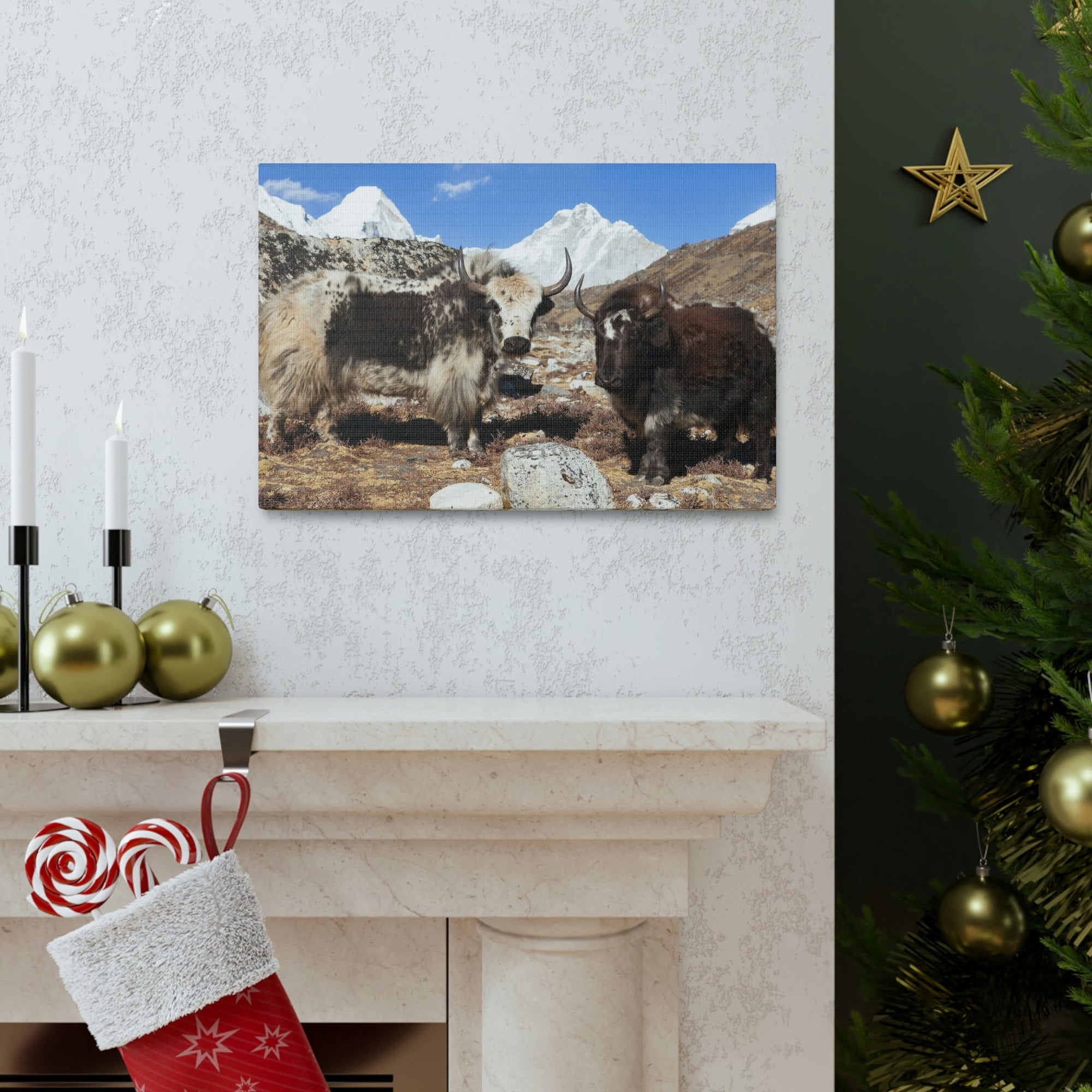 Funny Yak Silly Yak Scene Couple Wall Art Ready to Hang Unframed-Express Your Love Gifts