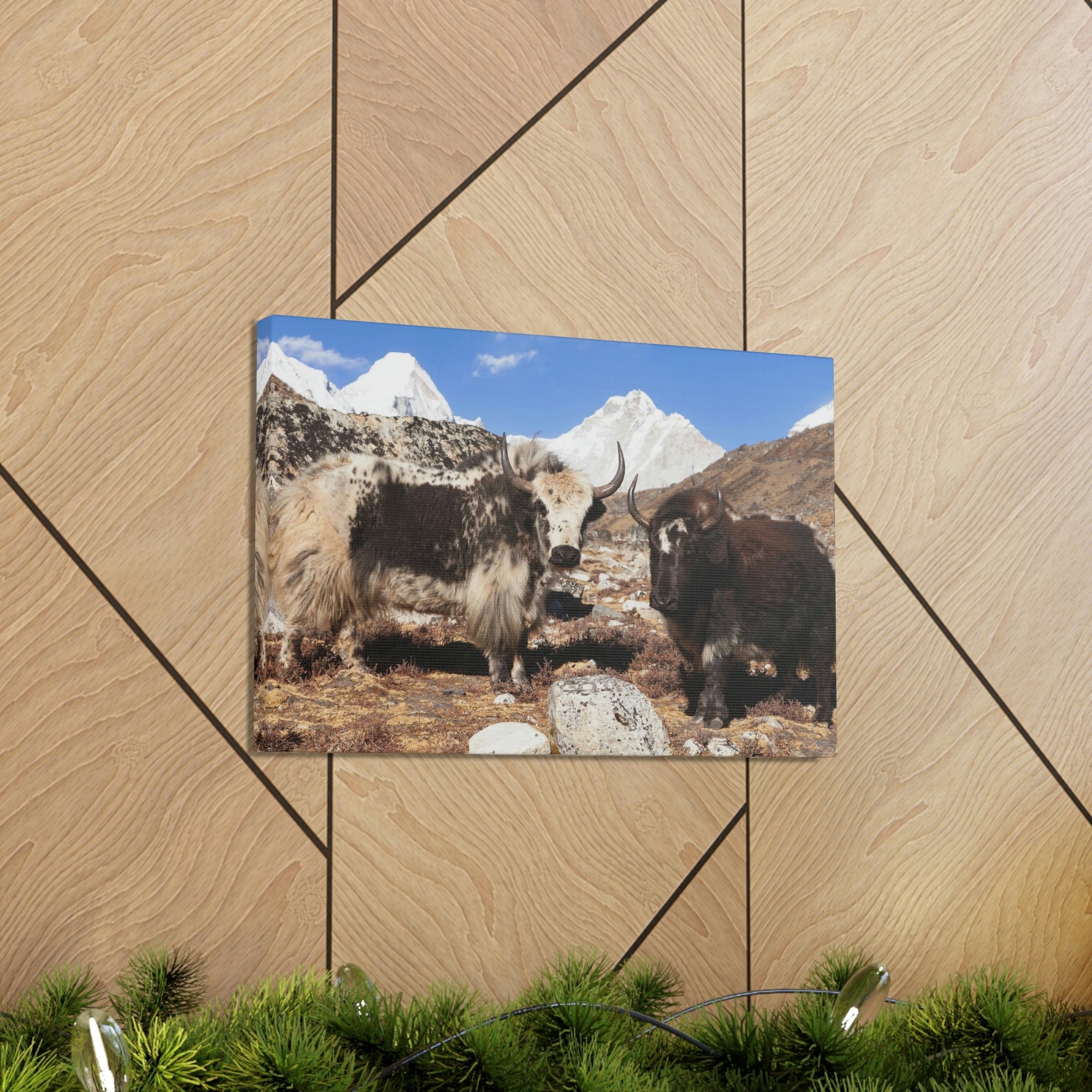 Funny Yak Silly Yak Scene Couple Wall Art Ready to Hang Unframed-Express Your Love Gifts