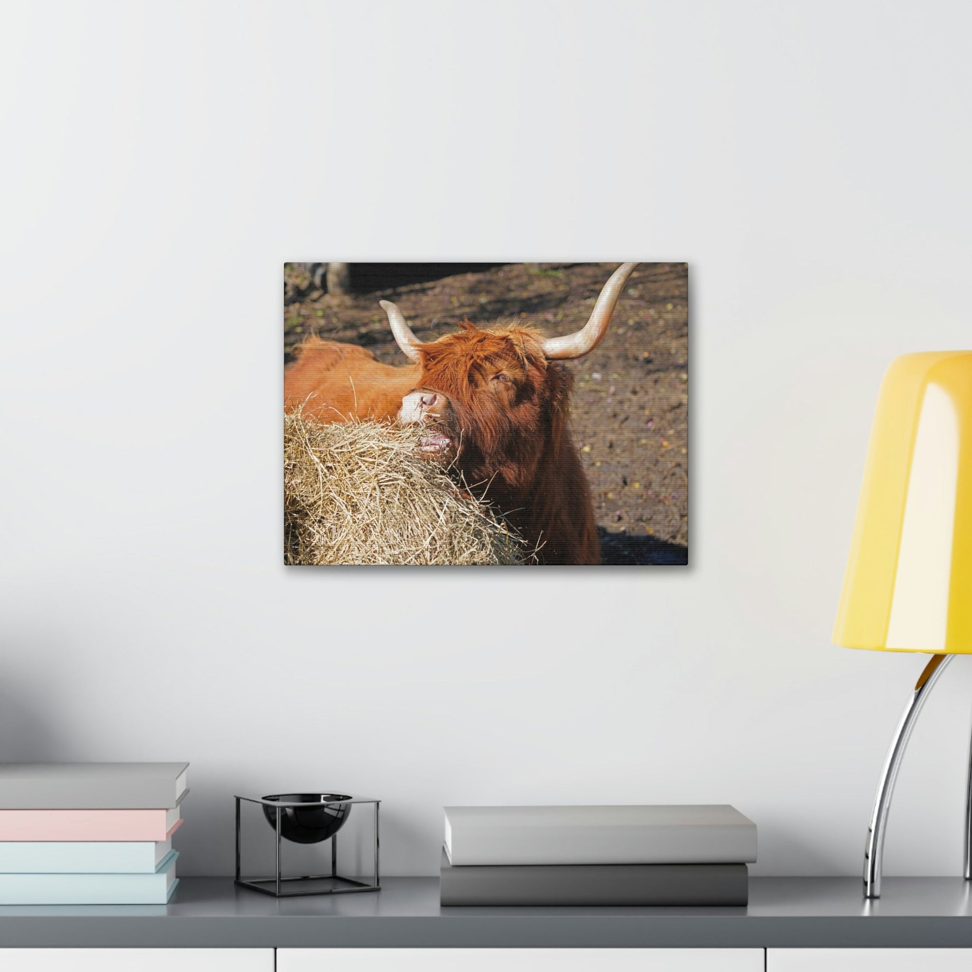 Funny Yak Silly Yak Scene Outdoor Wall Art Ready to Hang Unframed-Express Your Love Gifts