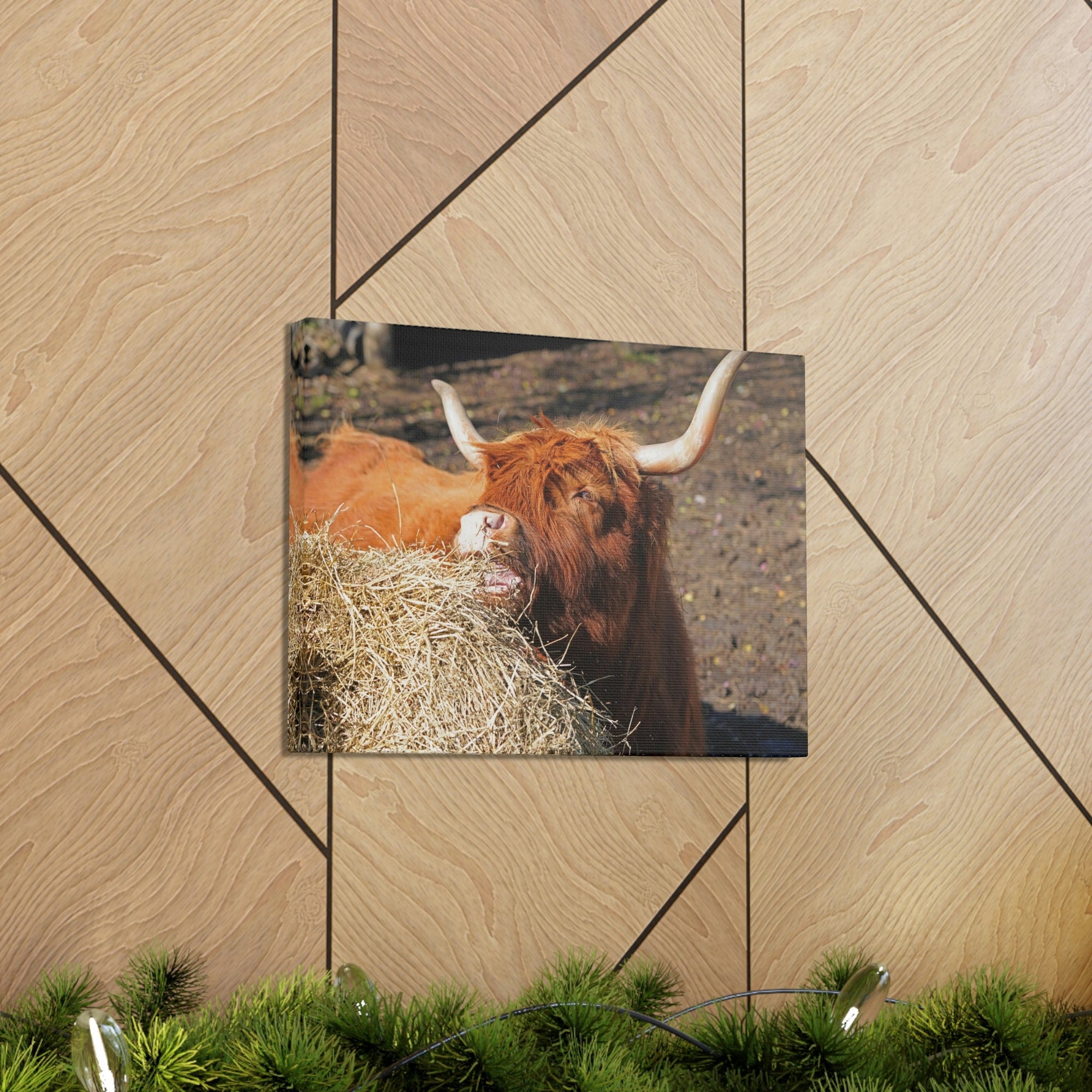 Funny Yak Silly Yak Scene Outdoor Wall Art Ready to Hang Unframed-Express Your Love Gifts