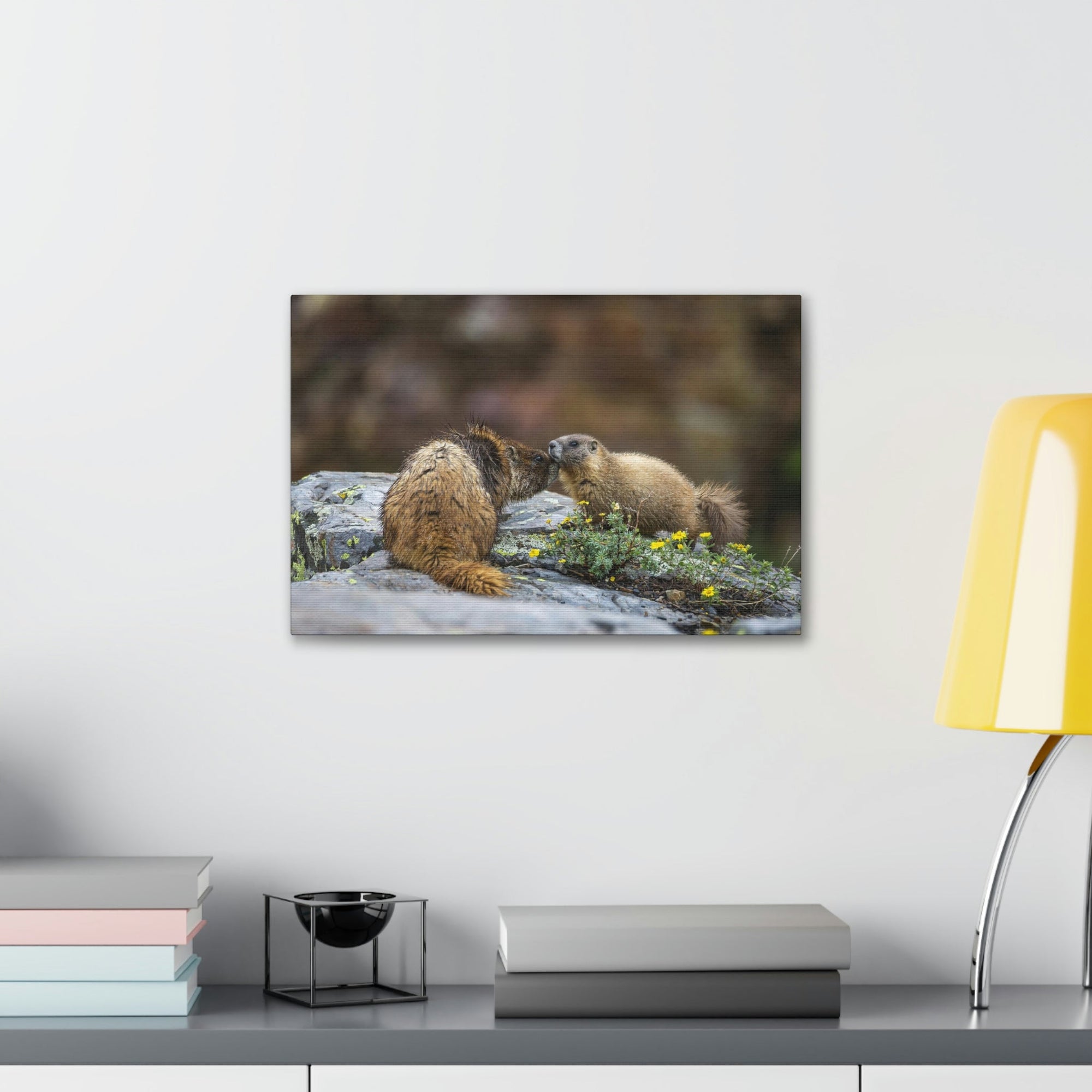 Funny Yellow Bellied Marmot Silly Yellow Bellied Marmot Scene Couple Wall Art Ready to Hang Unframed-Express Your Love Gifts