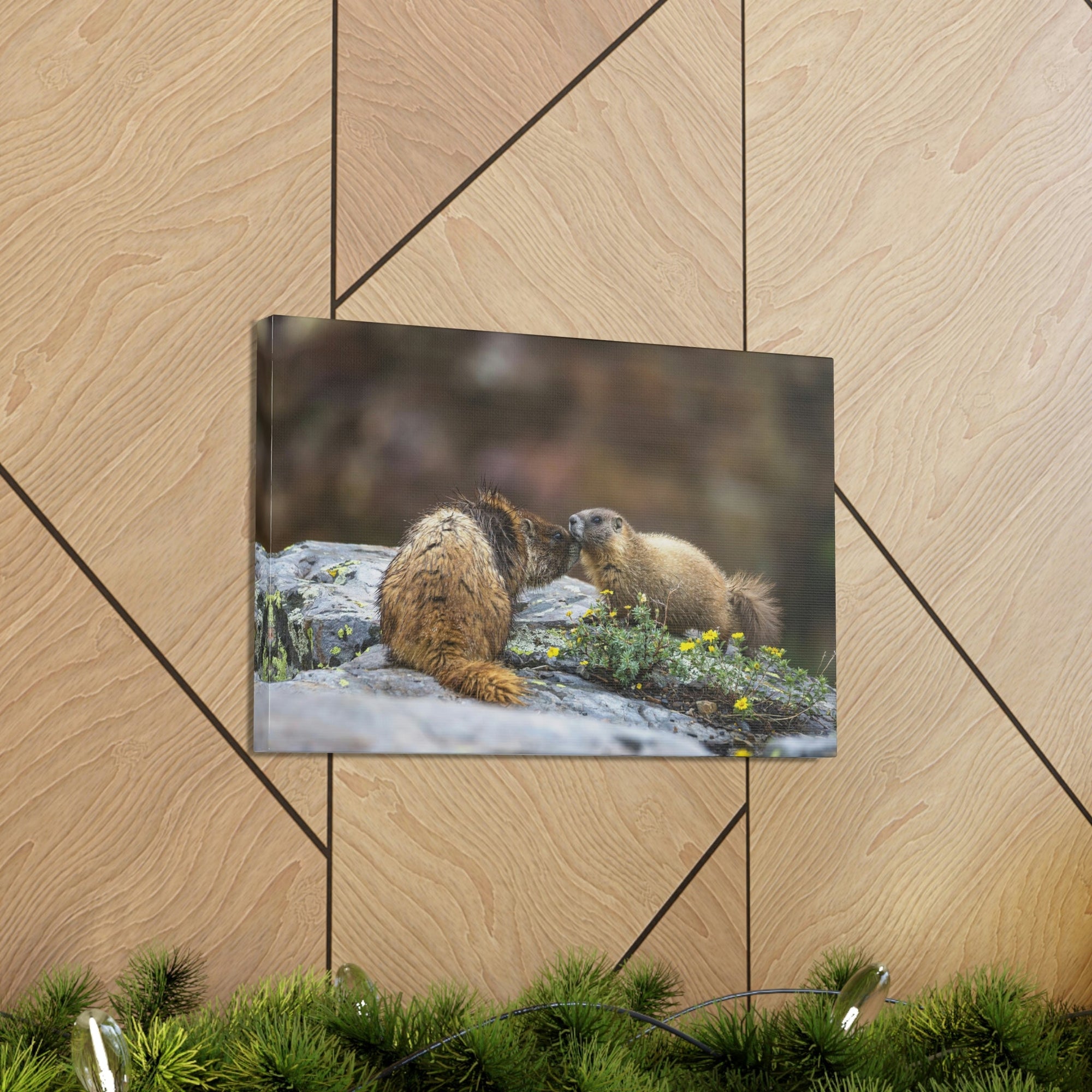 Funny Yellow Bellied Marmot Silly Yellow Bellied Marmot Scene Couple Wall Art Ready to Hang Unframed-Express Your Love Gifts