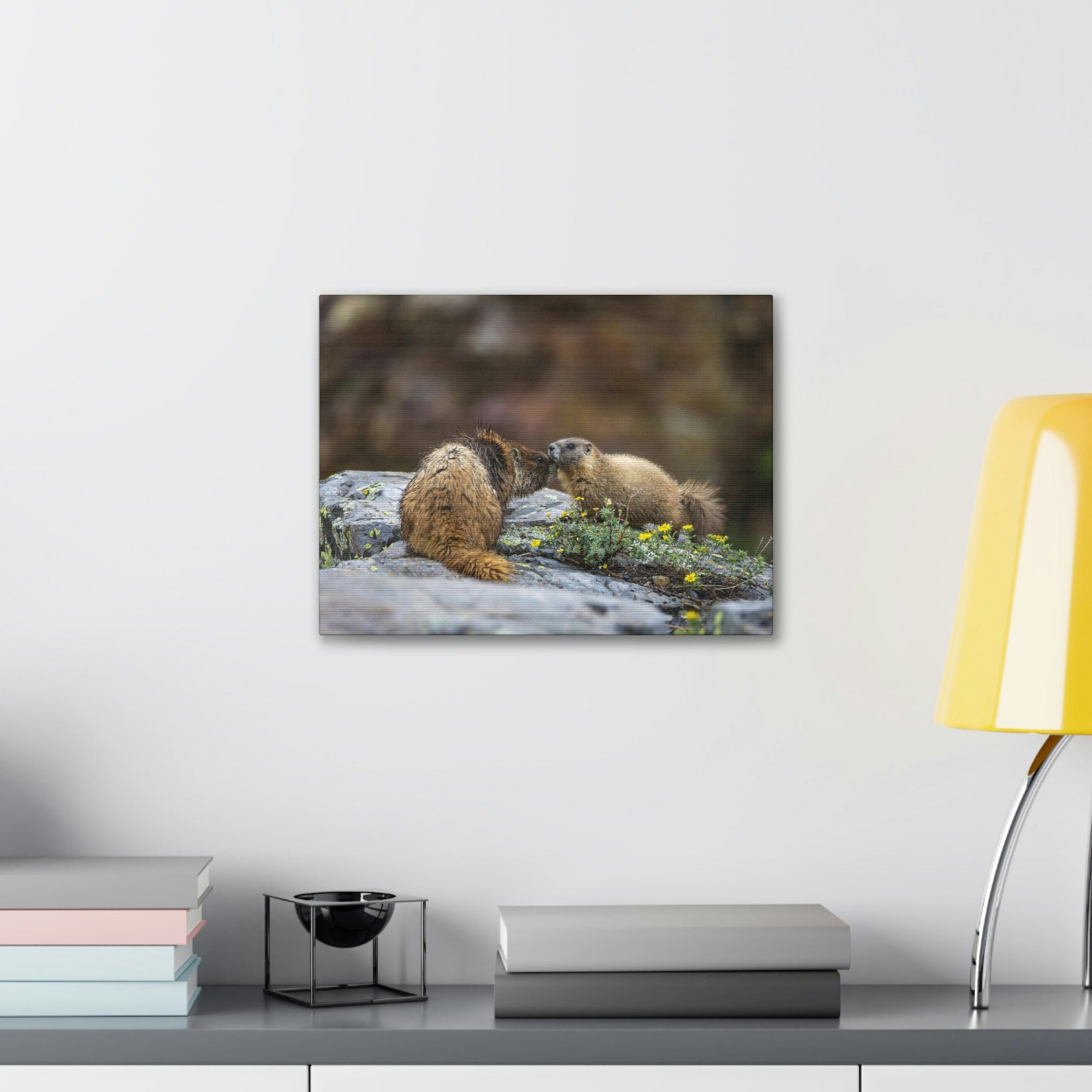 Funny Yellow Bellied Marmot Silly Yellow Bellied Marmot Scene Couple Wall Art Ready to Hang Unframed-Express Your Love Gifts