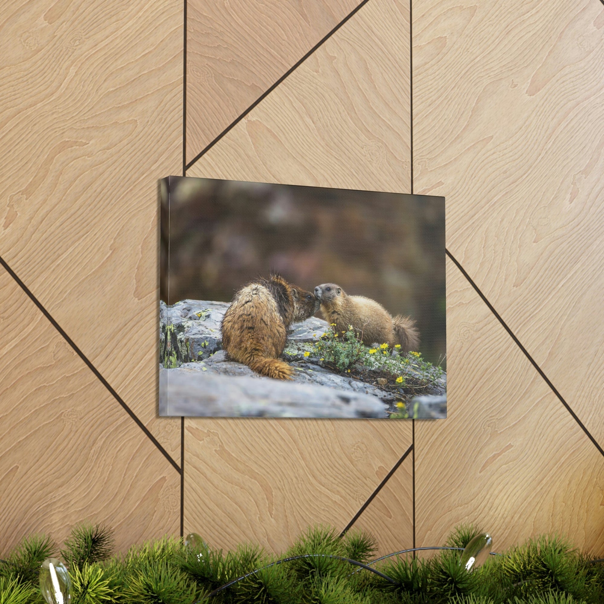 Funny Yellow Bellied Marmot Silly Yellow Bellied Marmot Scene Couple Wall Art Ready to Hang Unframed-Express Your Love Gifts