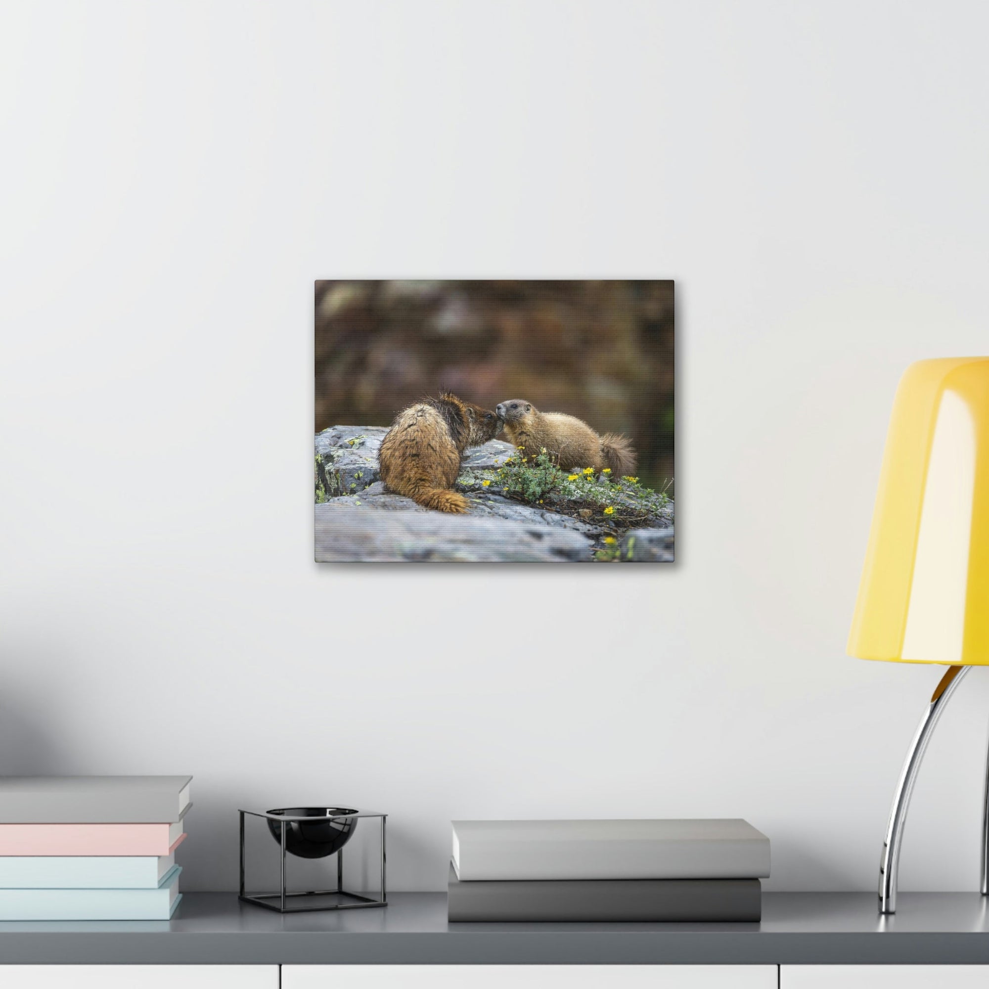 Funny Yellow Bellied Marmot Silly Yellow Bellied Marmot Scene Couple Wall Art Ready to Hang Unframed-Express Your Love Gifts