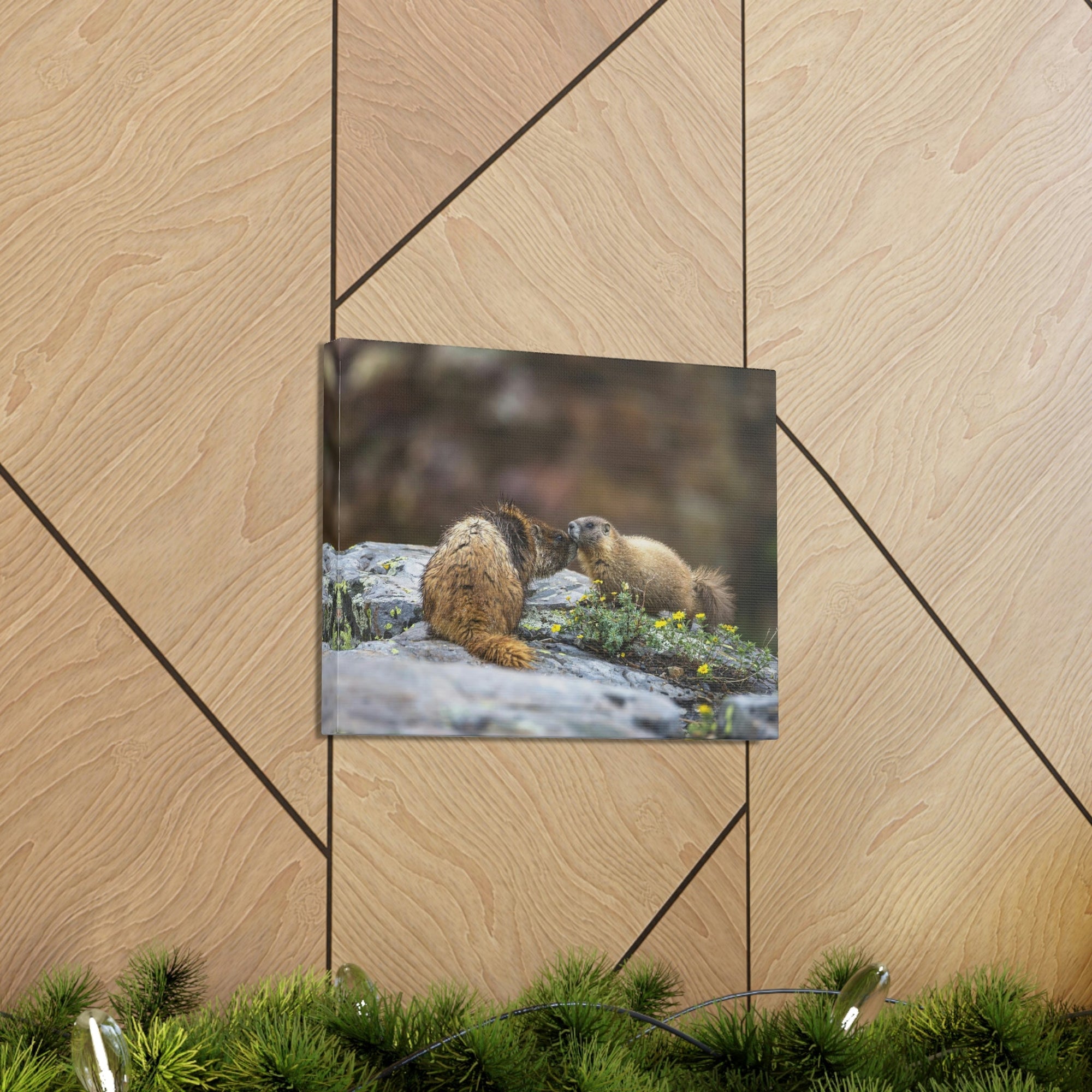 Funny Yellow Bellied Marmot Silly Yellow Bellied Marmot Scene Couple Wall Art Ready to Hang Unframed-Express Your Love Gifts