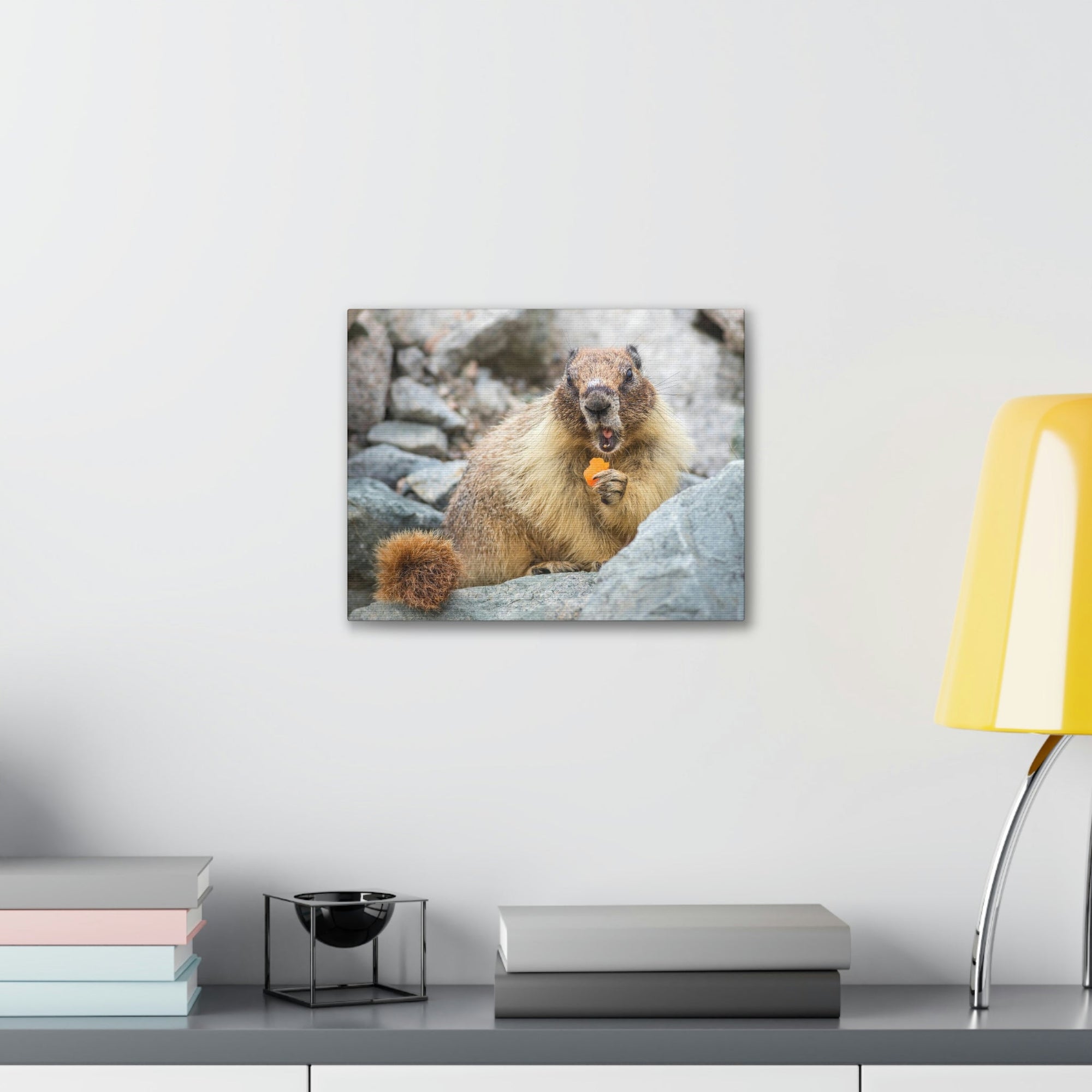 Funny Yellow Bellied Marmot Silly Yellow Bellied Marmot Scene Outdoor Wall Art Ready to Hang Unframed-Express Your Love Gifts