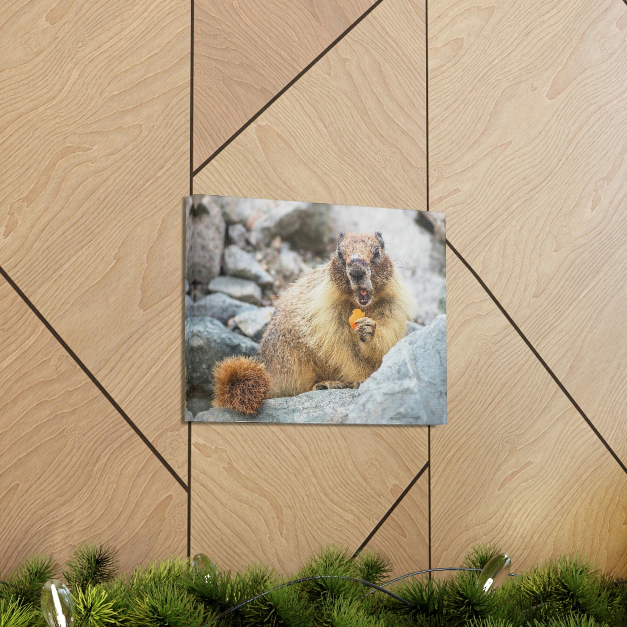 Funny Yellow Bellied Marmot Silly Yellow Bellied Marmot Scene Outdoor Wall Art Ready to Hang Unframed-Express Your Love Gifts