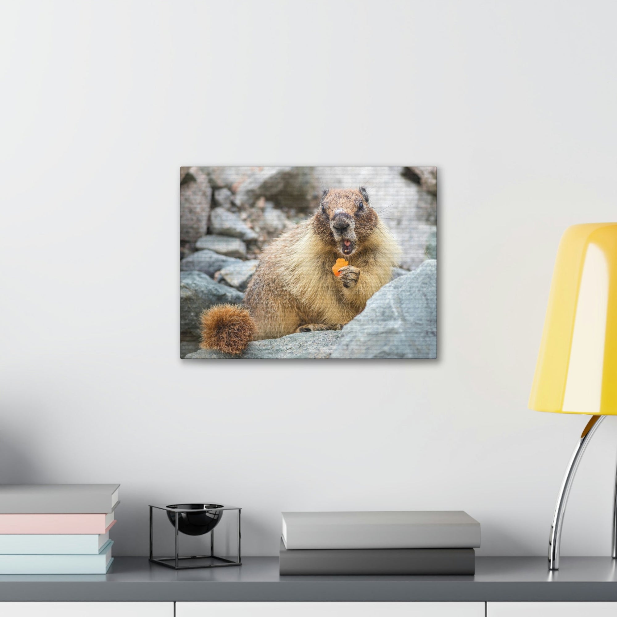 Funny Yellow Bellied Marmot Silly Yellow Bellied Marmot Scene Outdoor Wall Art Ready to Hang Unframed-Express Your Love Gifts