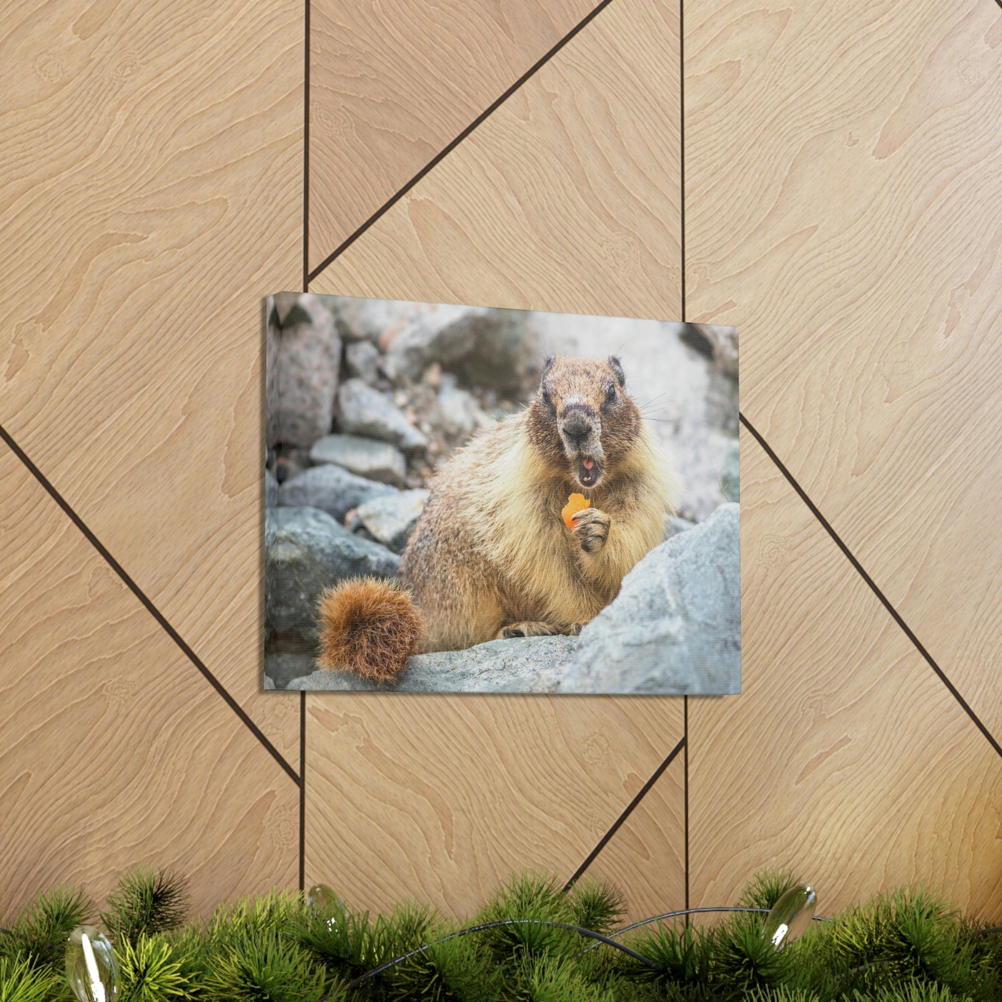 Funny Yellow Bellied Marmot Silly Yellow Bellied Marmot Scene Outdoor Wall Art Ready to Hang Unframed-Express Your Love Gifts