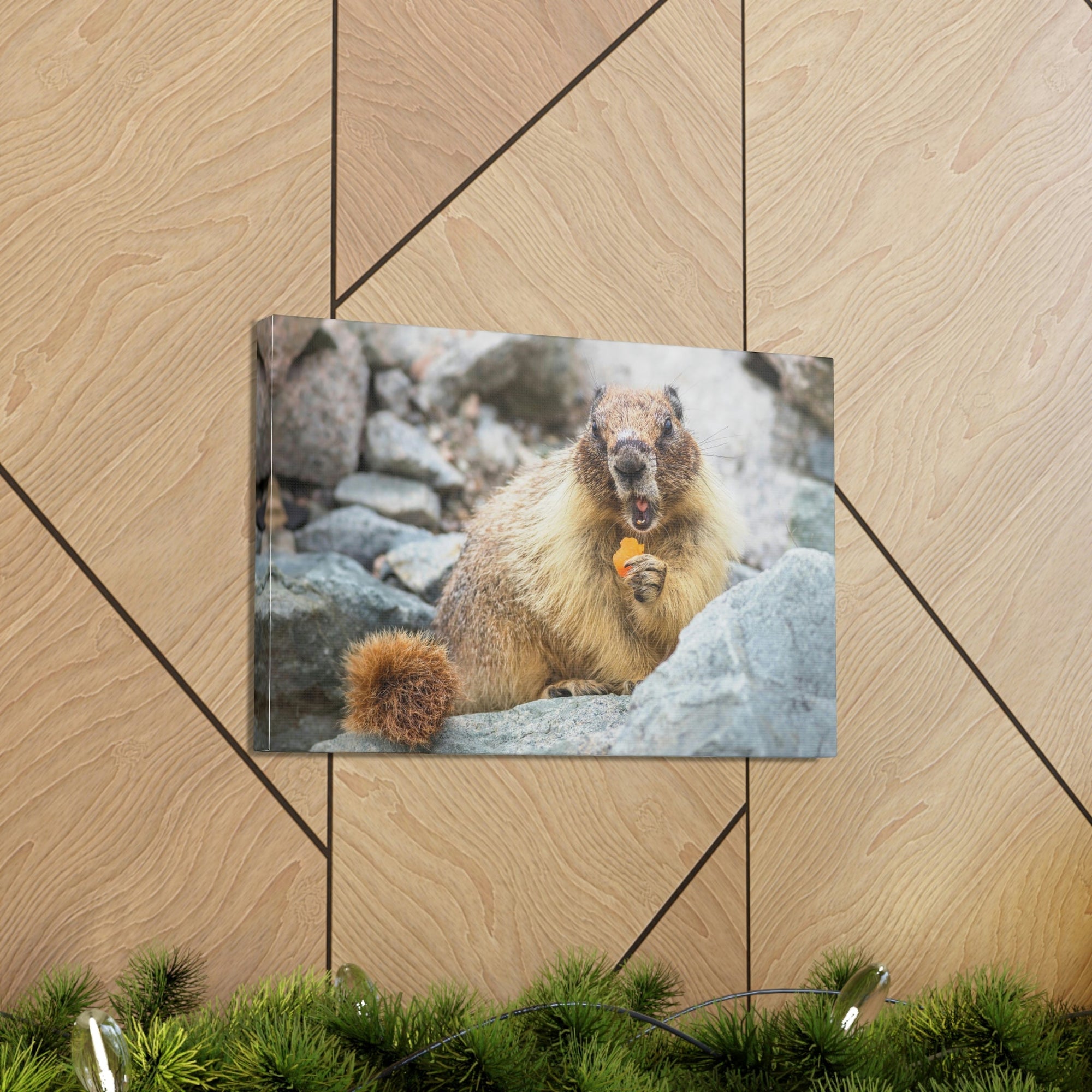 Funny Yellow Bellied Marmot Silly Yellow Bellied Marmot Scene Outdoor Wall Art Ready to Hang Unframed-Express Your Love Gifts