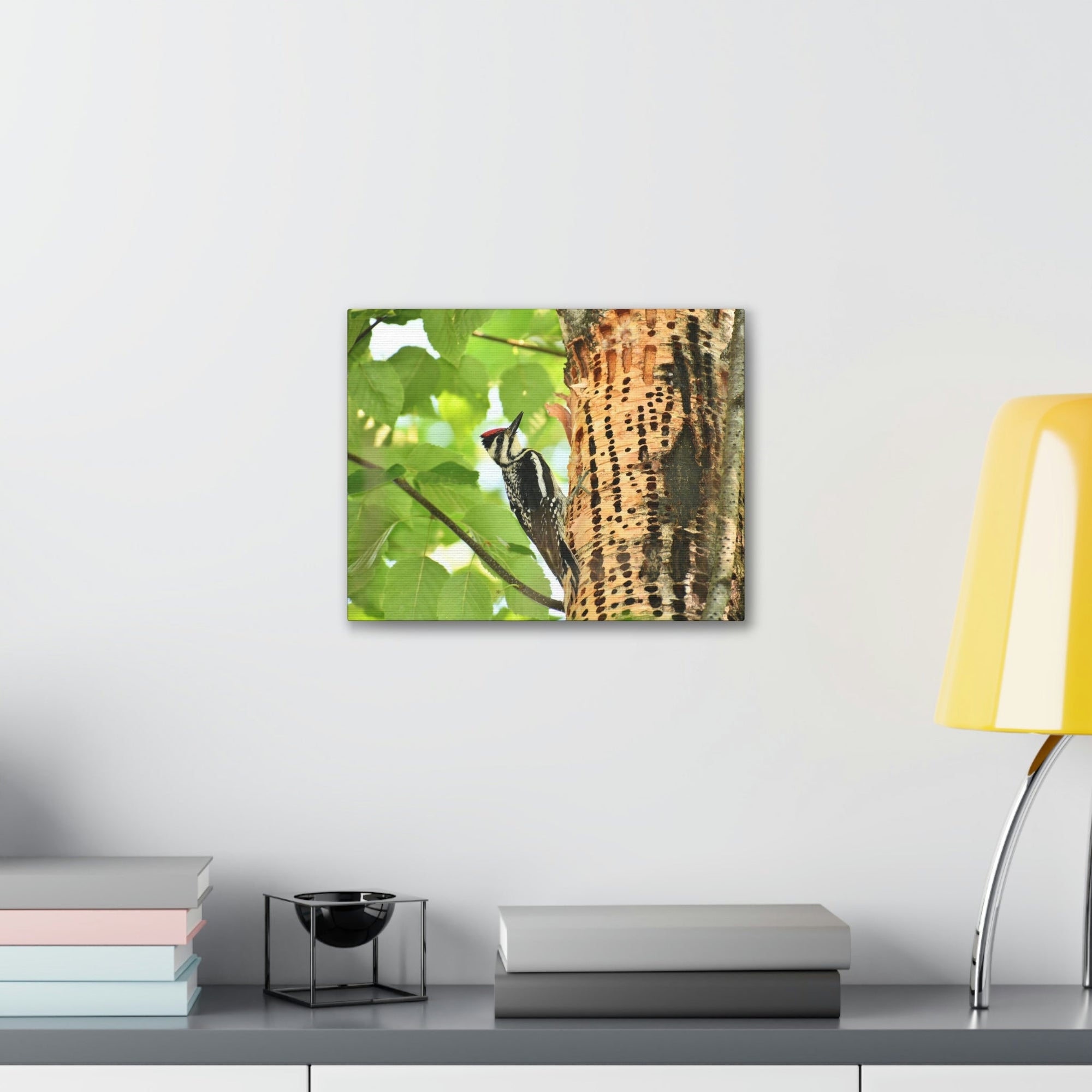 Funny Yellow Bellied Sapsucker Silly Yellow Bellied Sapsucker Scene Outside Wall Art Ready to Hang Unframed-Express Your Love Gifts