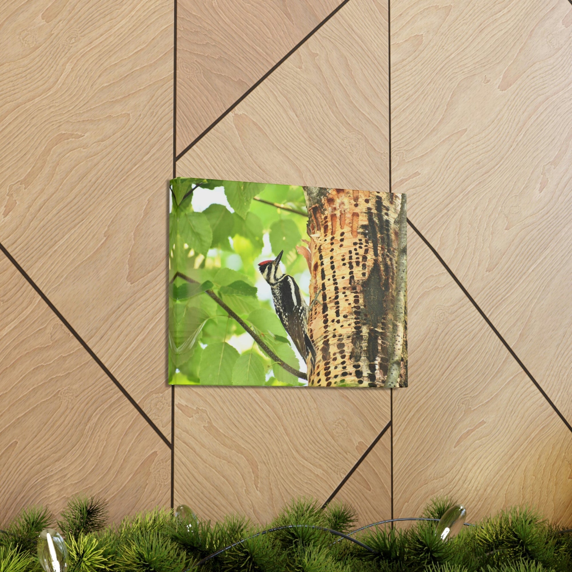 Funny Yellow Bellied Sapsucker Silly Yellow Bellied Sapsucker Scene Outside Wall Art Ready to Hang Unframed-Express Your Love Gifts