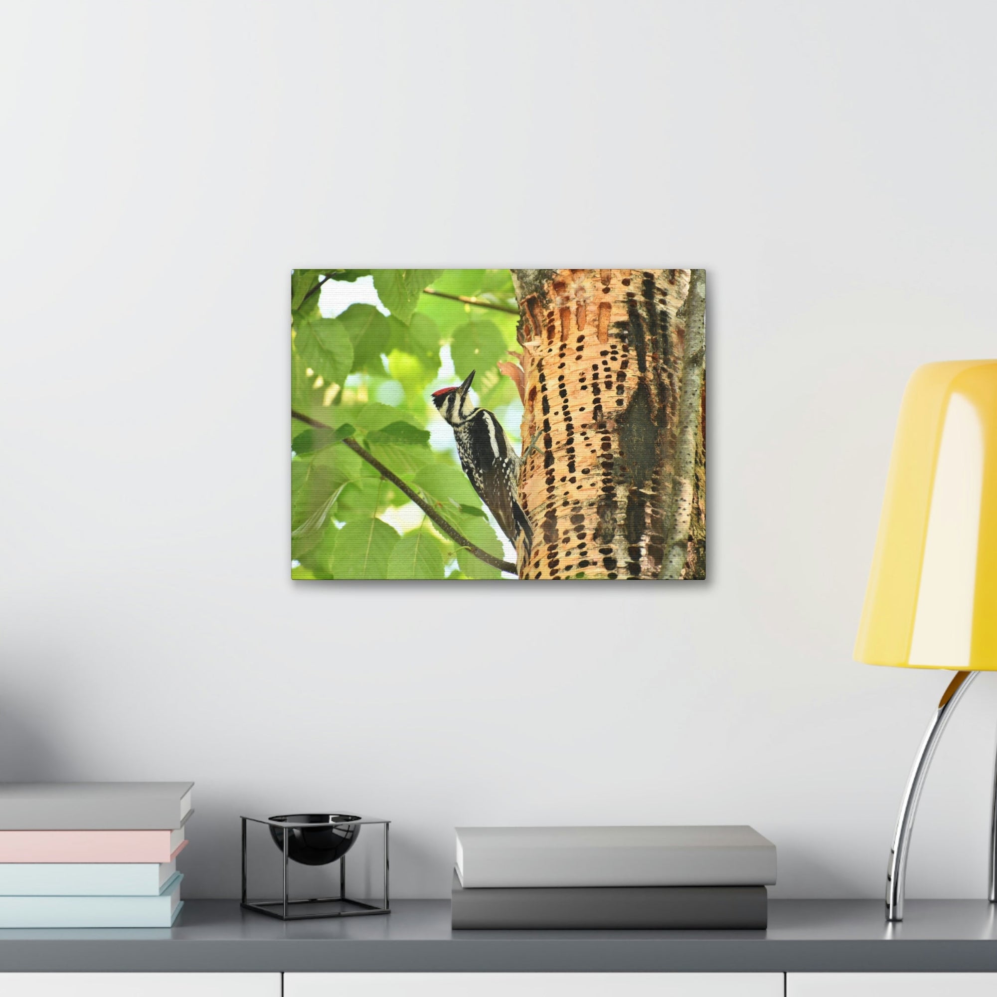 Funny Yellow Bellied Sapsucker Silly Yellow Bellied Sapsucker Scene Outside Wall Art Ready to Hang Unframed-Express Your Love Gifts