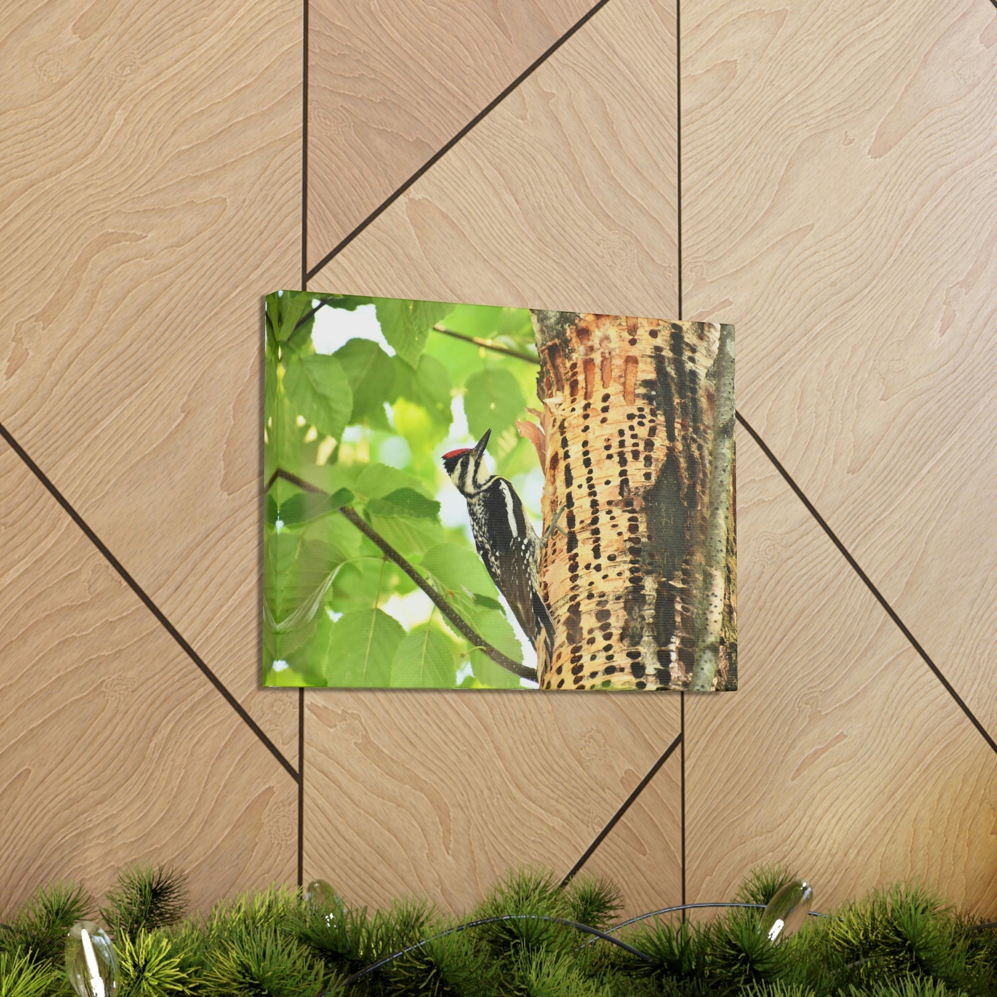 Funny Yellow Bellied Sapsucker Silly Yellow Bellied Sapsucker Scene Outside Wall Art Ready to Hang Unframed-Express Your Love Gifts