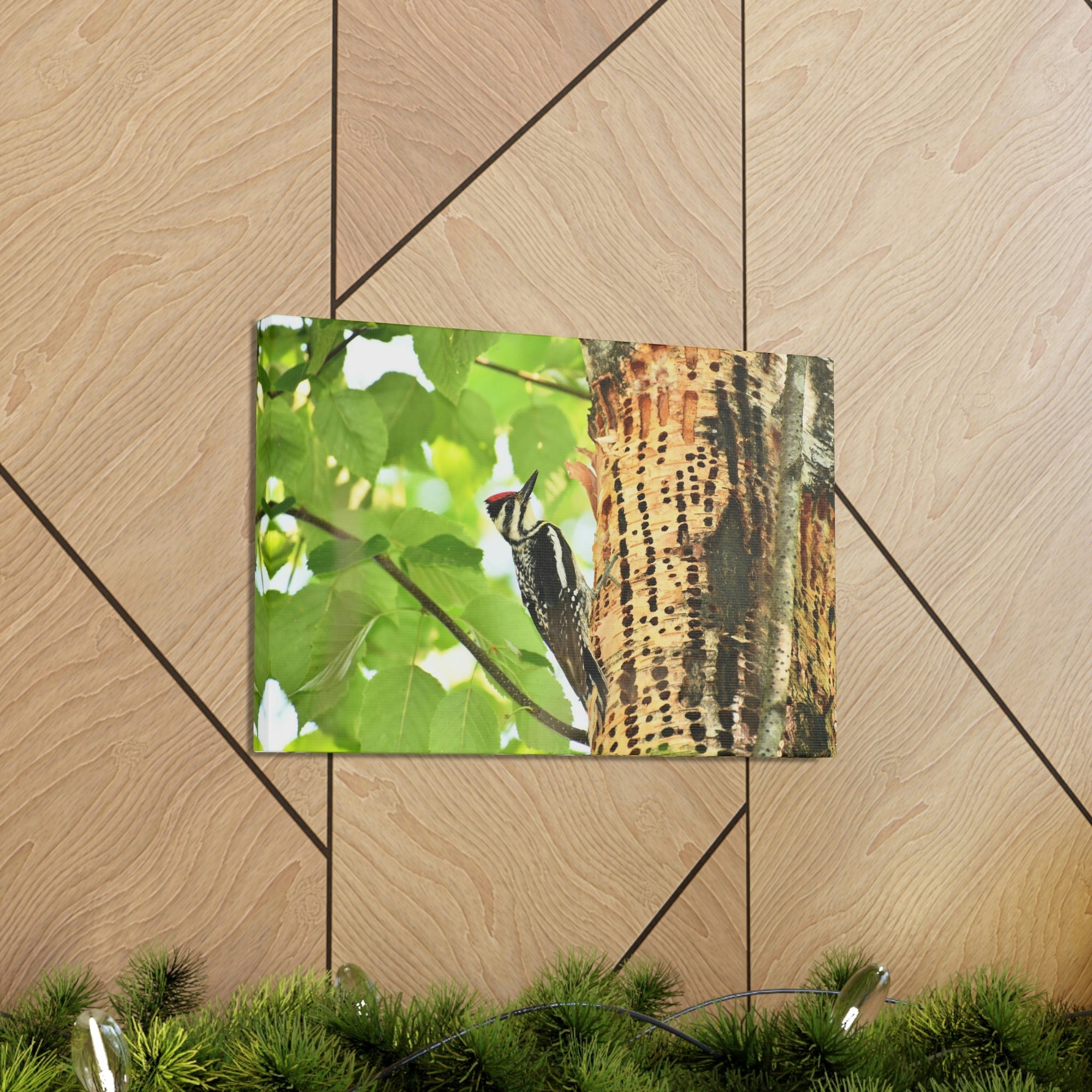 Funny Yellow Bellied Sapsucker Silly Yellow Bellied Sapsucker Scene Outside Wall Art Ready to Hang Unframed-Express Your Love Gifts