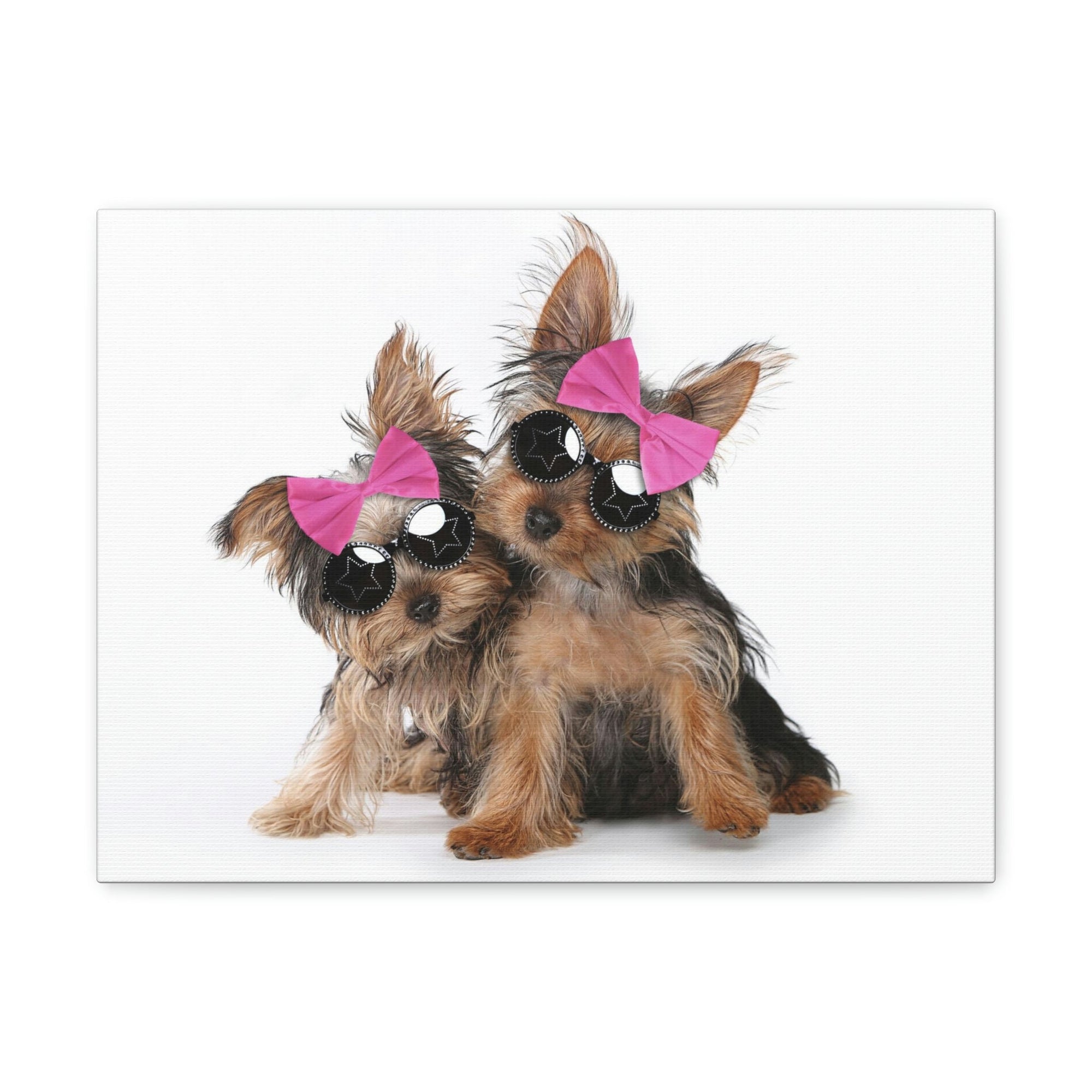 Funny Yorkshire Terrier Silly Yorkshire Terrier Couples Wall Art Ready to Hang Unframed-Express Your Love Gifts