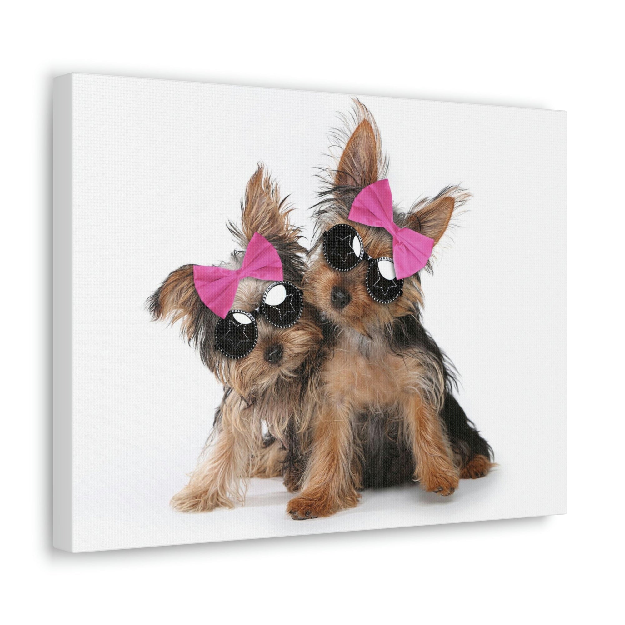 Funny Yorkshire Terrier Silly Yorkshire Terrier Couples Wall Art Ready to Hang Unframed-Express Your Love Gifts