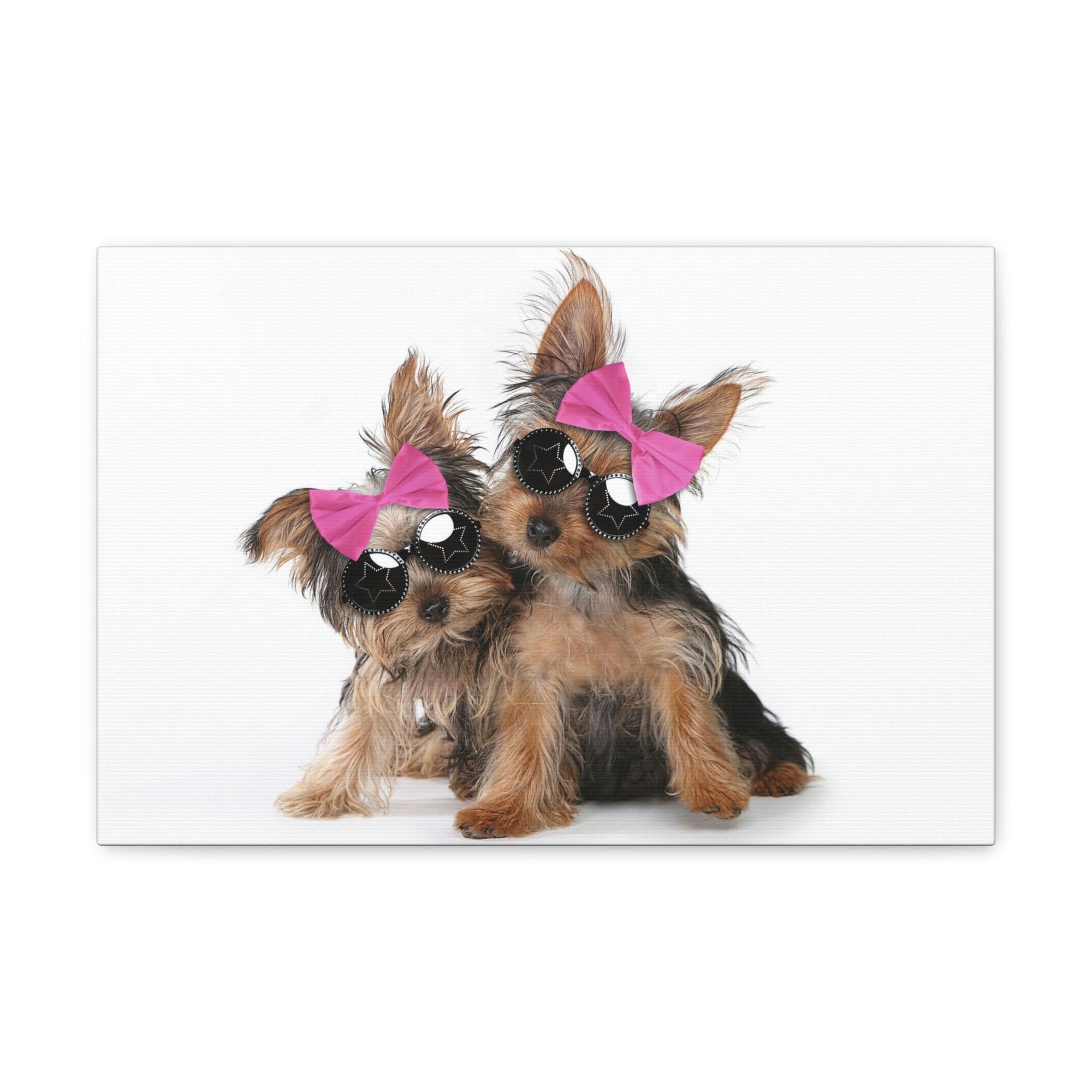 Funny Yorkshire Terrier Silly Yorkshire Terrier Couples Wall Art Ready to Hang Unframed-Express Your Love Gifts