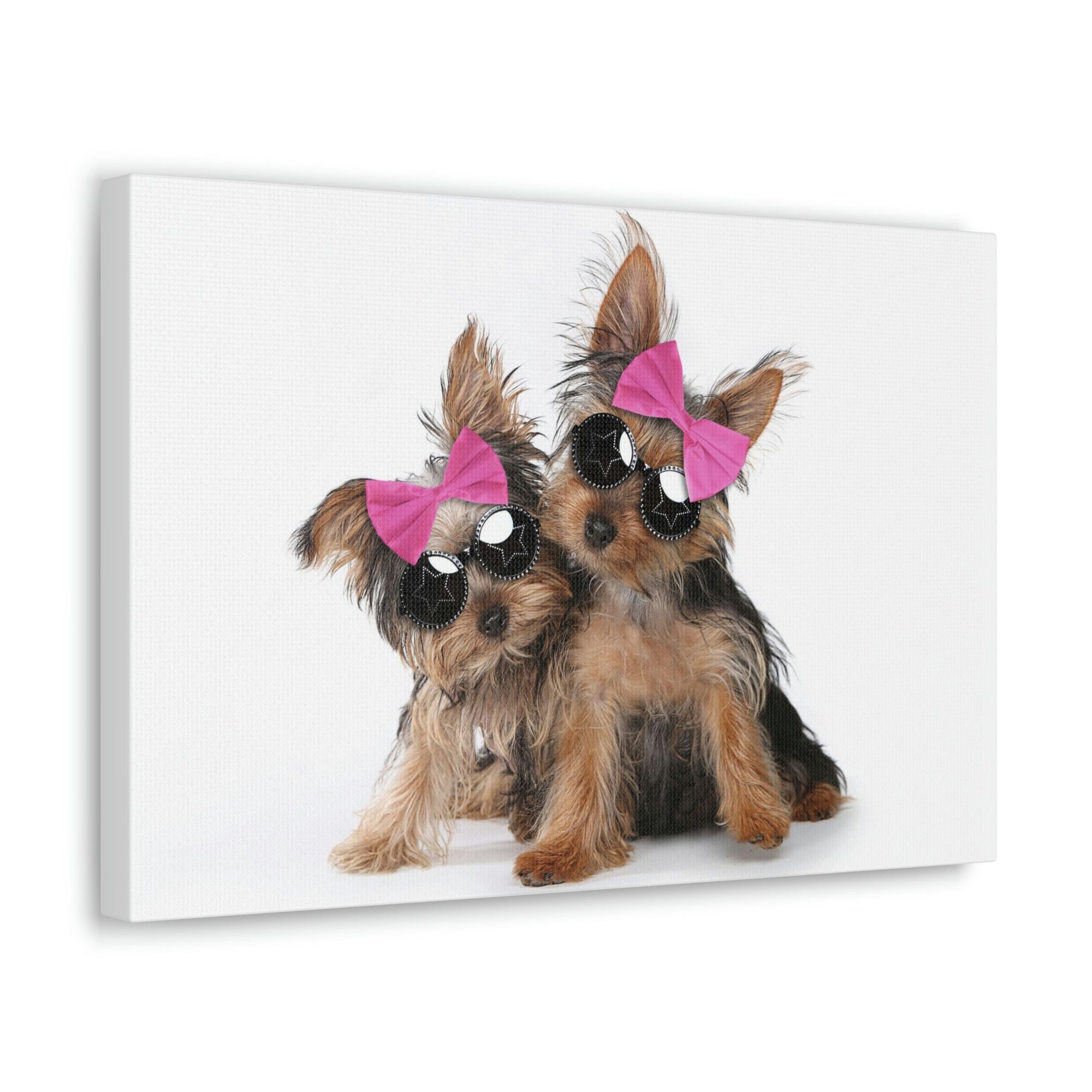 Funny Yorkshire Terrier Silly Yorkshire Terrier Couples Wall Art Ready to Hang Unframed-Express Your Love Gifts