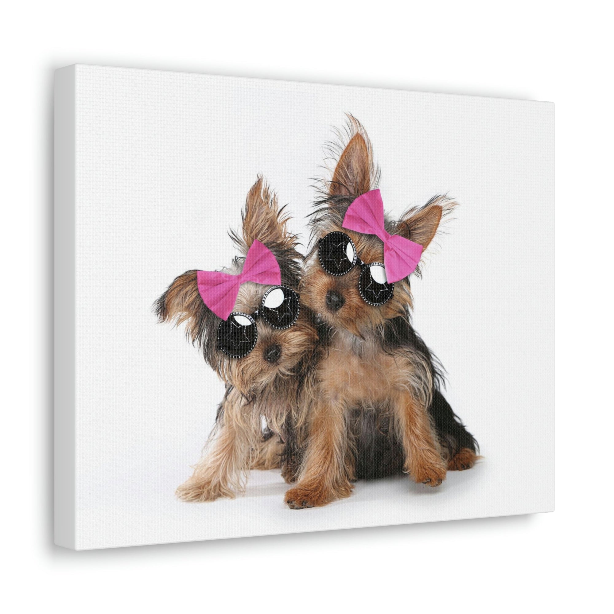 Funny Yorkshire Terrier Silly Yorkshire Terrier Couples Wall Art Ready to Hang Unframed-Express Your Love Gifts