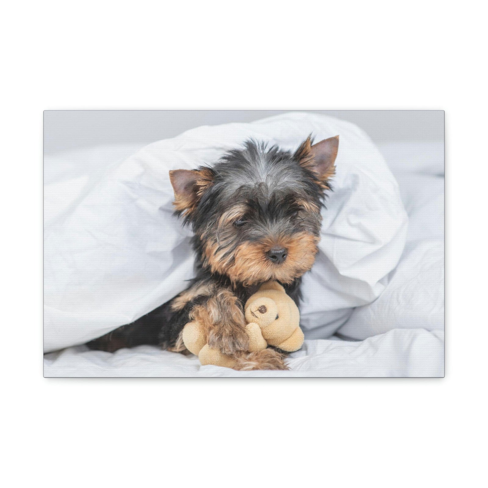 Funny Yorkshire Terrier Silly Yorkshire Terrier Inside Wall Art Ready to Hang Unframed-Express Your Love Gifts