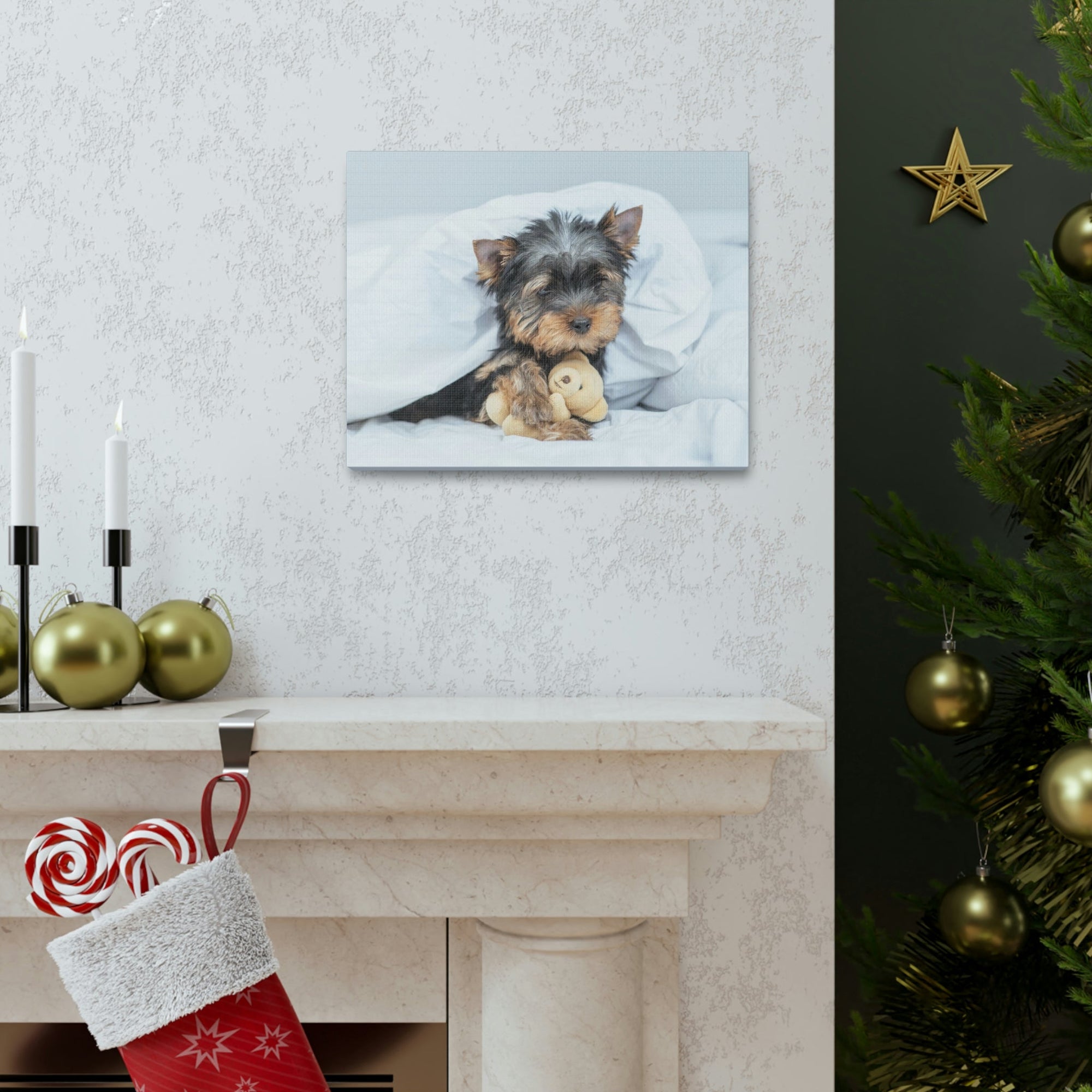 Funny Yorkshire Terrier Silly Yorkshire Terrier Inside Wall Art Ready to Hang Unframed-Express Your Love Gifts