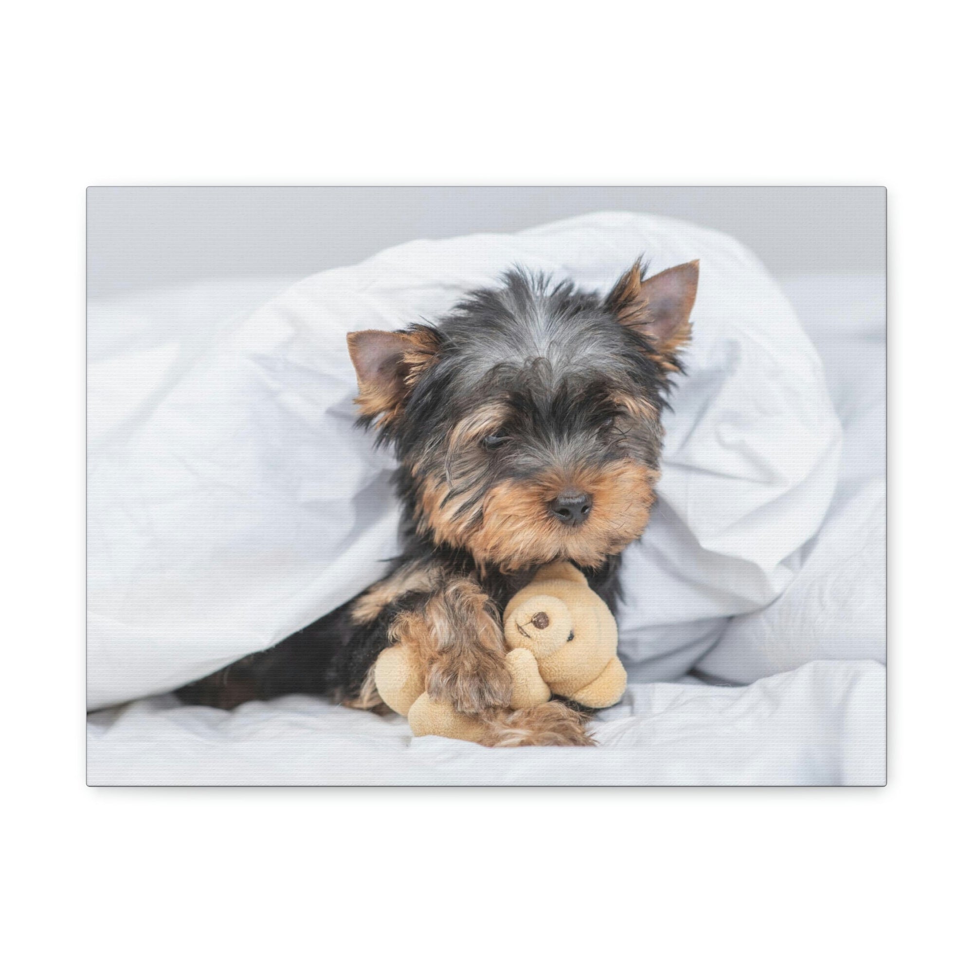 Funny Yorkshire Terrier Silly Yorkshire Terrier Inside Wall Art Ready to Hang Unframed-Express Your Love Gifts