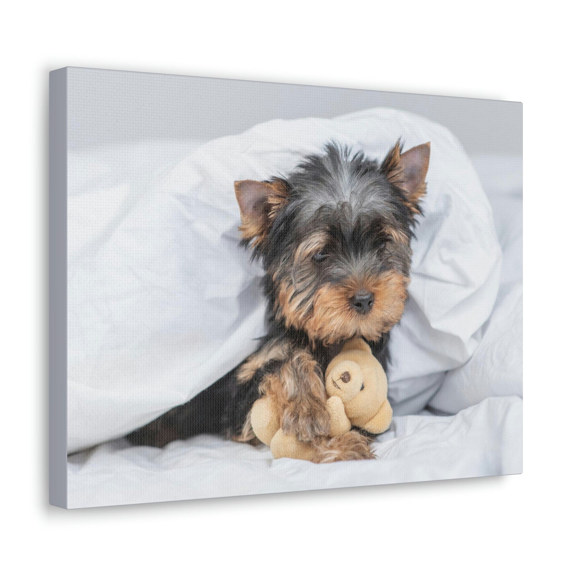 Funny Yorkshire Terrier Silly Yorkshire Terrier Inside Wall Art Ready to Hang Unframed-Express Your Love Gifts