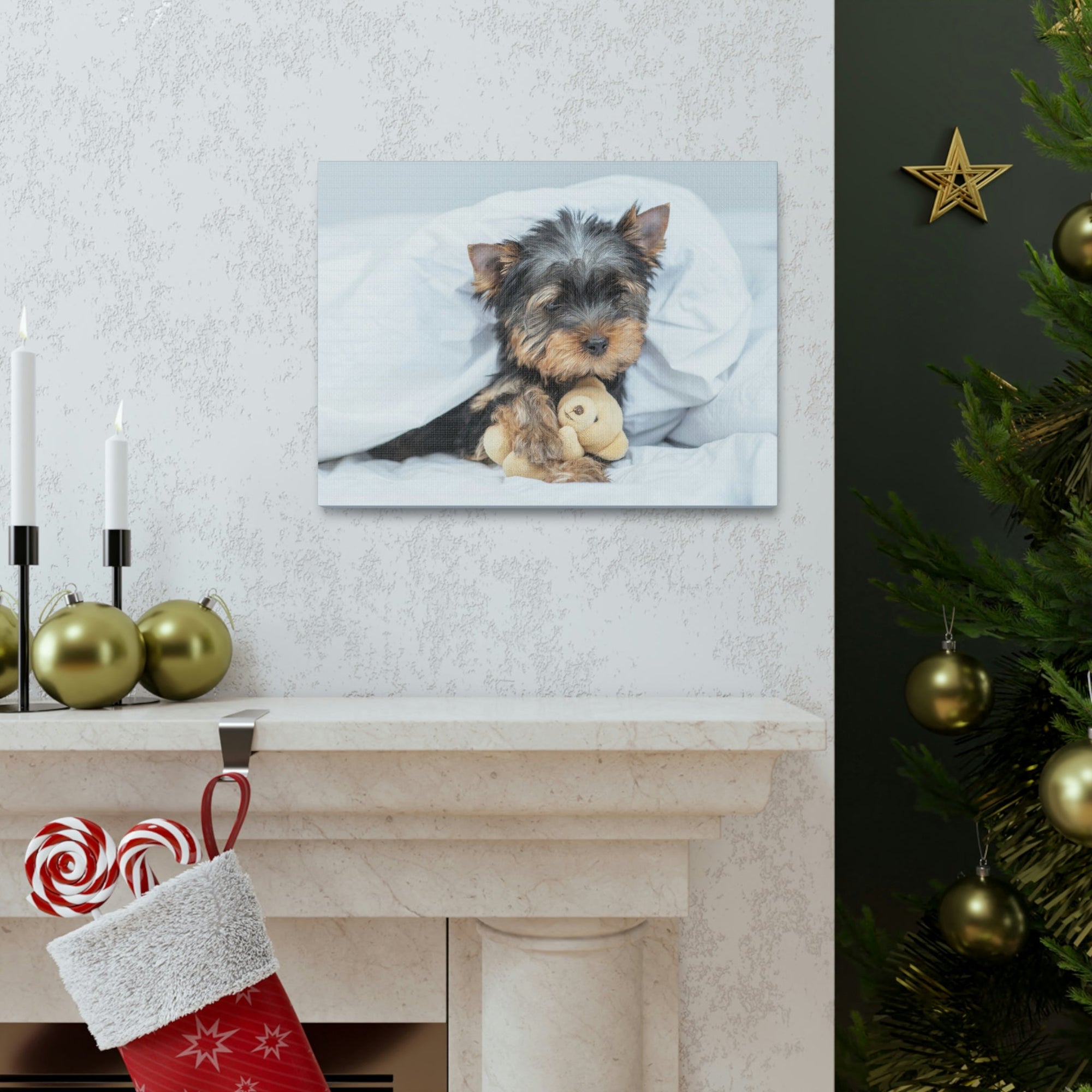 Funny Yorkshire Terrier Silly Yorkshire Terrier Inside Wall Art Ready to Hang Unframed-Express Your Love Gifts