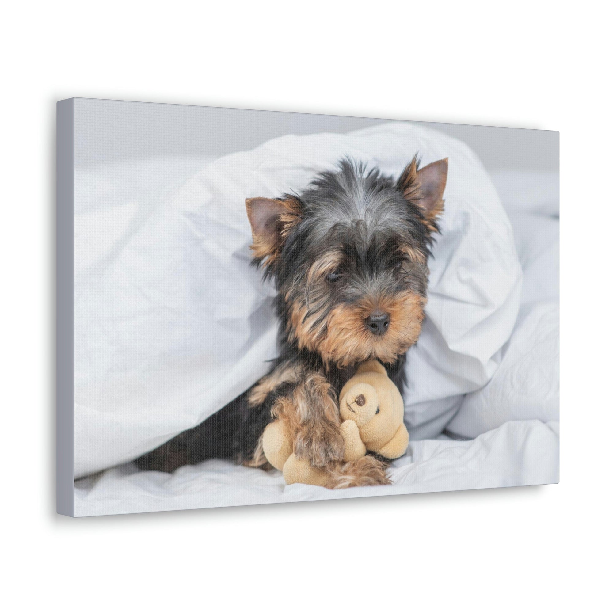 Funny Yorkshire Terrier Silly Yorkshire Terrier Inside Wall Art Ready to Hang Unframed-Express Your Love Gifts