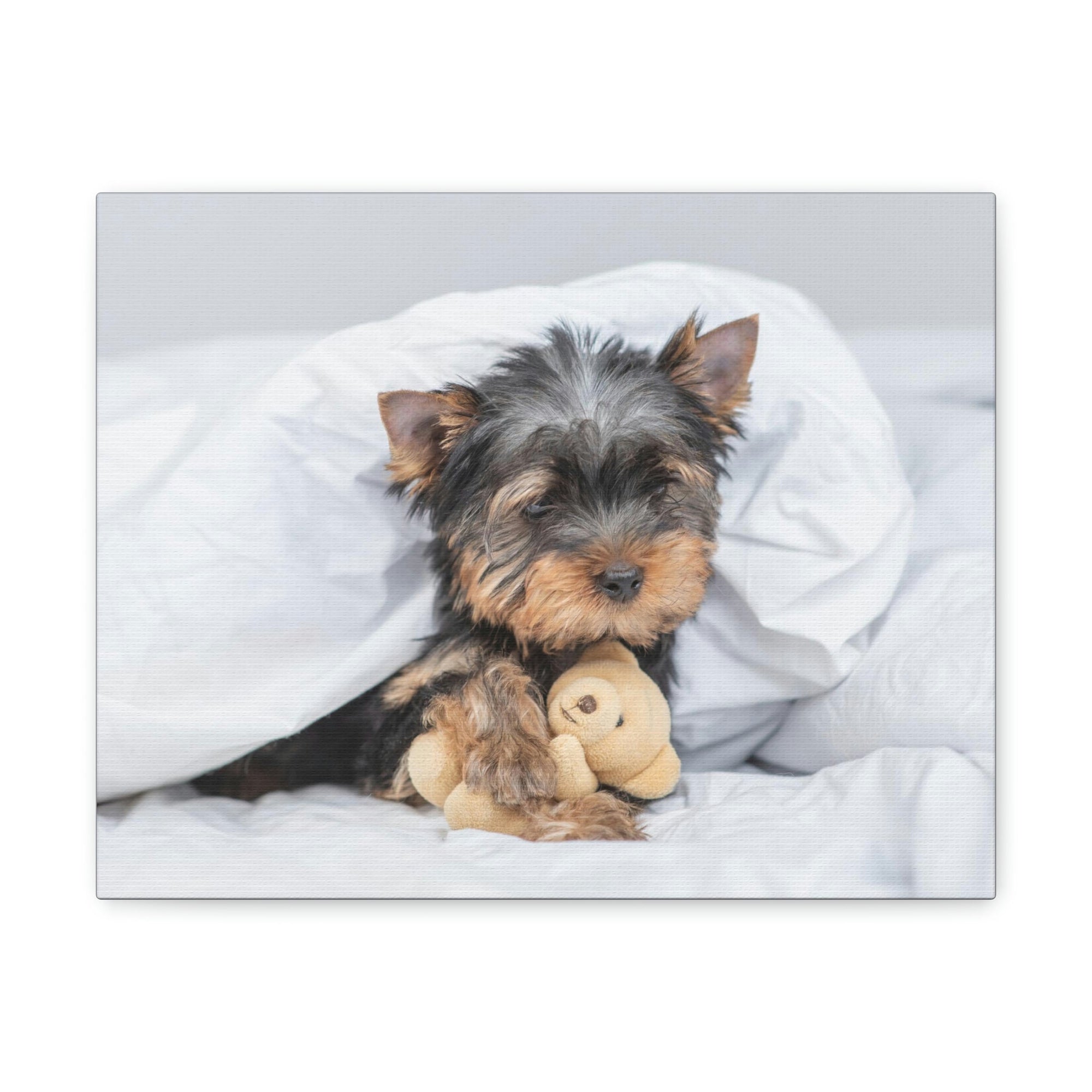 Funny Yorkshire Terrier Silly Yorkshire Terrier Inside Wall Art Ready to Hang Unframed-Express Your Love Gifts