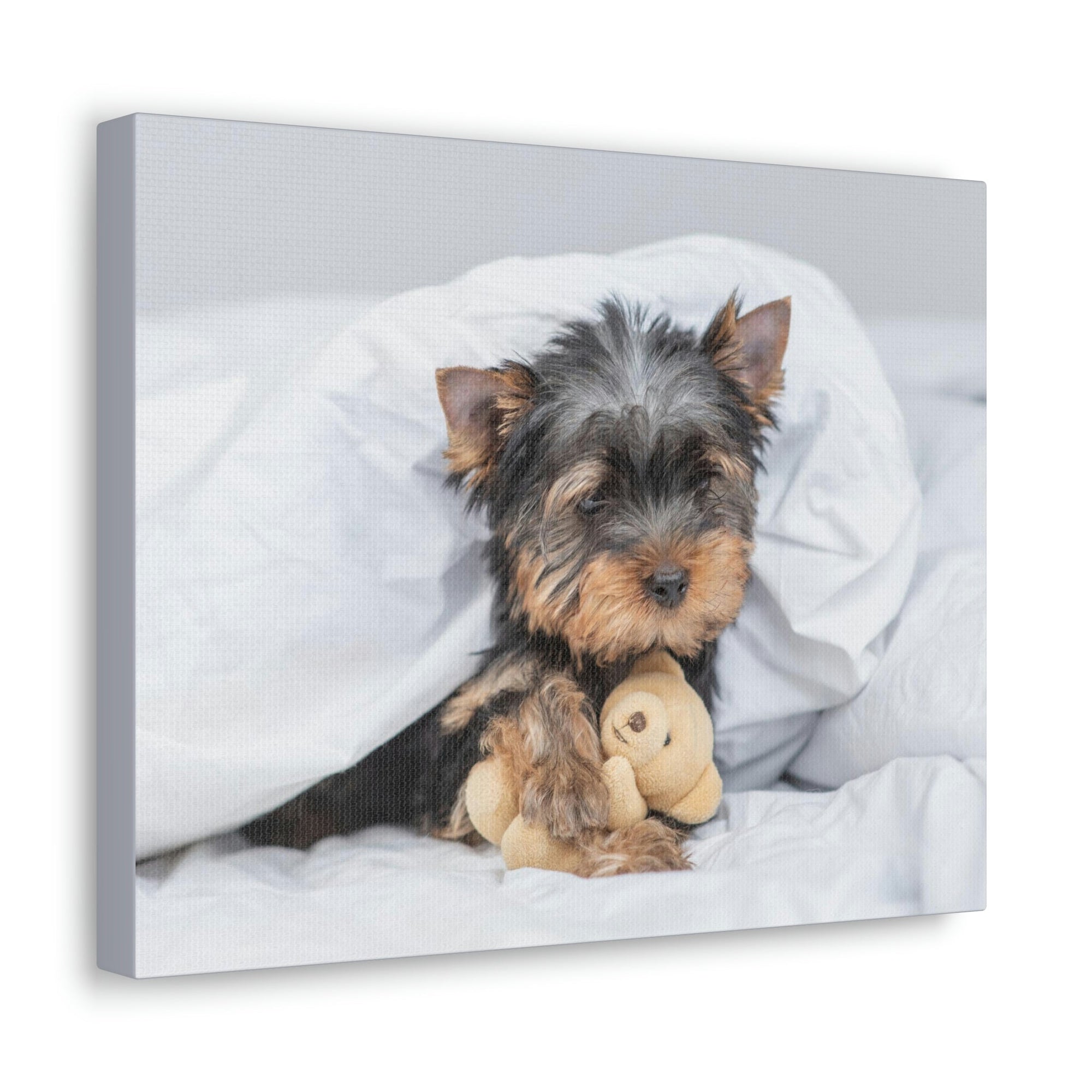 Funny Yorkshire Terrier Silly Yorkshire Terrier Inside Wall Art Ready to Hang Unframed-Express Your Love Gifts