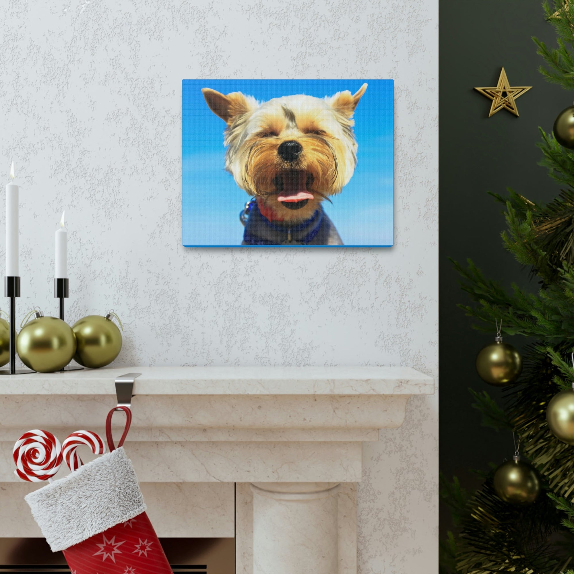 Funny Yorkshire Terrier Silly Yorkshire Terrier Outside Wall Art Ready to Hang Unframed-Express Your Love Gifts