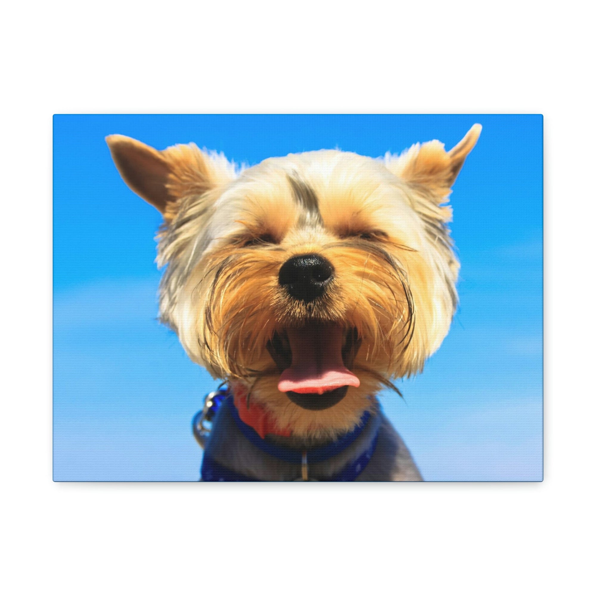 Funny Yorkshire Terrier Silly Yorkshire Terrier Outside Wall Art Ready to Hang Unframed-Express Your Love Gifts