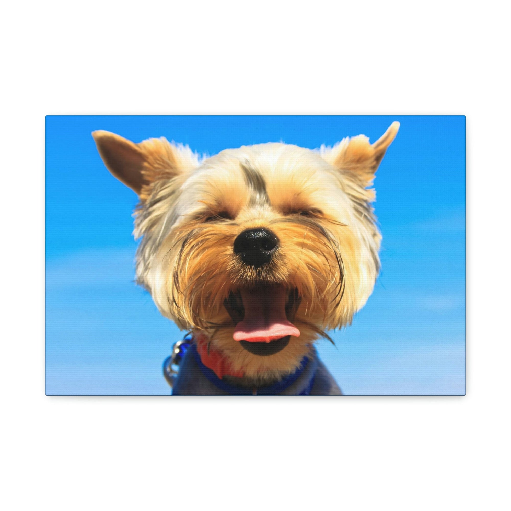 Funny Yorkshire Terrier Silly Yorkshire Terrier Outside Wall Art Ready to Hang Unframed-Express Your Love Gifts