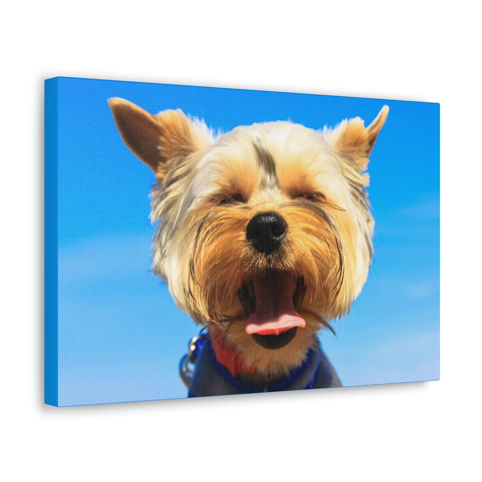 Funny Yorkshire Terrier Silly Yorkshire Terrier Outside Wall Art Ready to Hang Unframed-Express Your Love Gifts