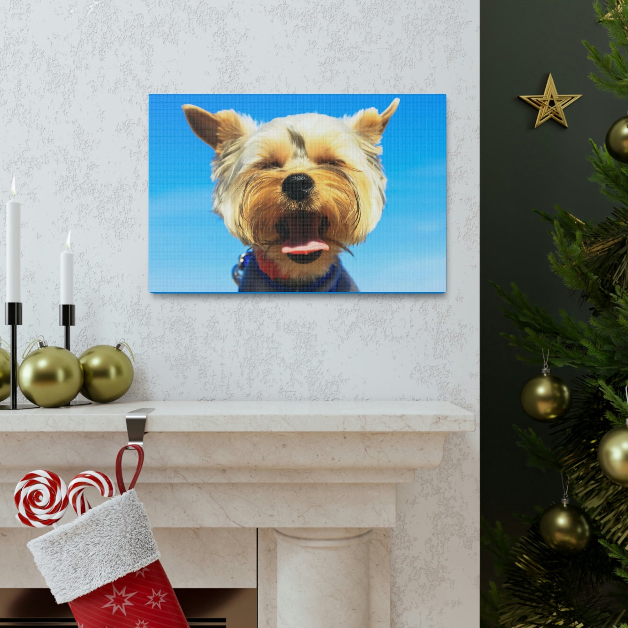 Funny Yorkshire Terrier Silly Yorkshire Terrier Outside Wall Art Ready to Hang Unframed-Express Your Love Gifts