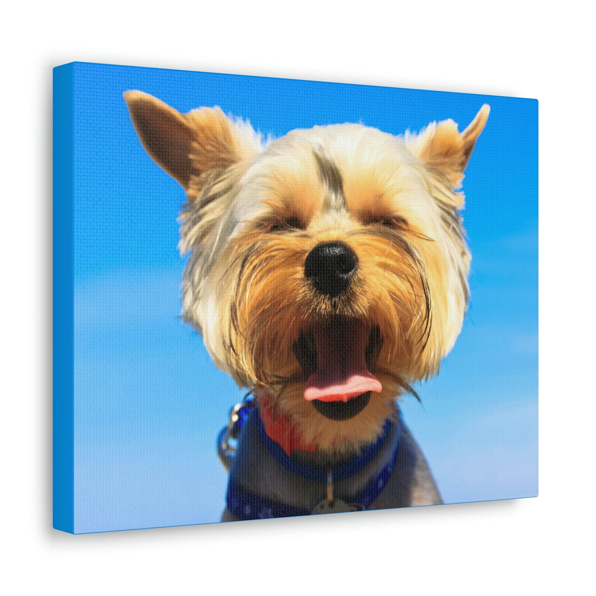 Funny Yorkshire Terrier Silly Yorkshire Terrier Outside Wall Art Ready to Hang Unframed-Express Your Love Gifts