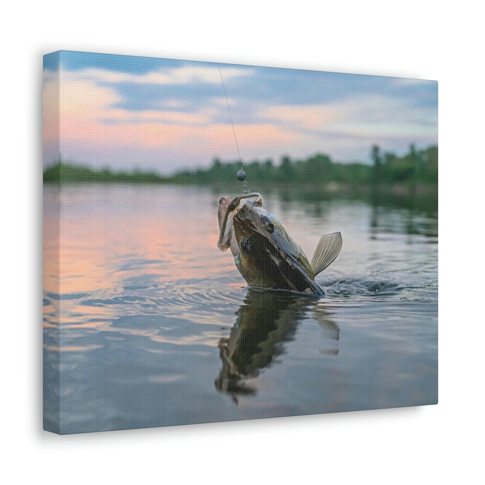 Funny Zander Silly Zander Scene Outside Wall Art Ready to Hang Unframed-Express Your Love Gifts