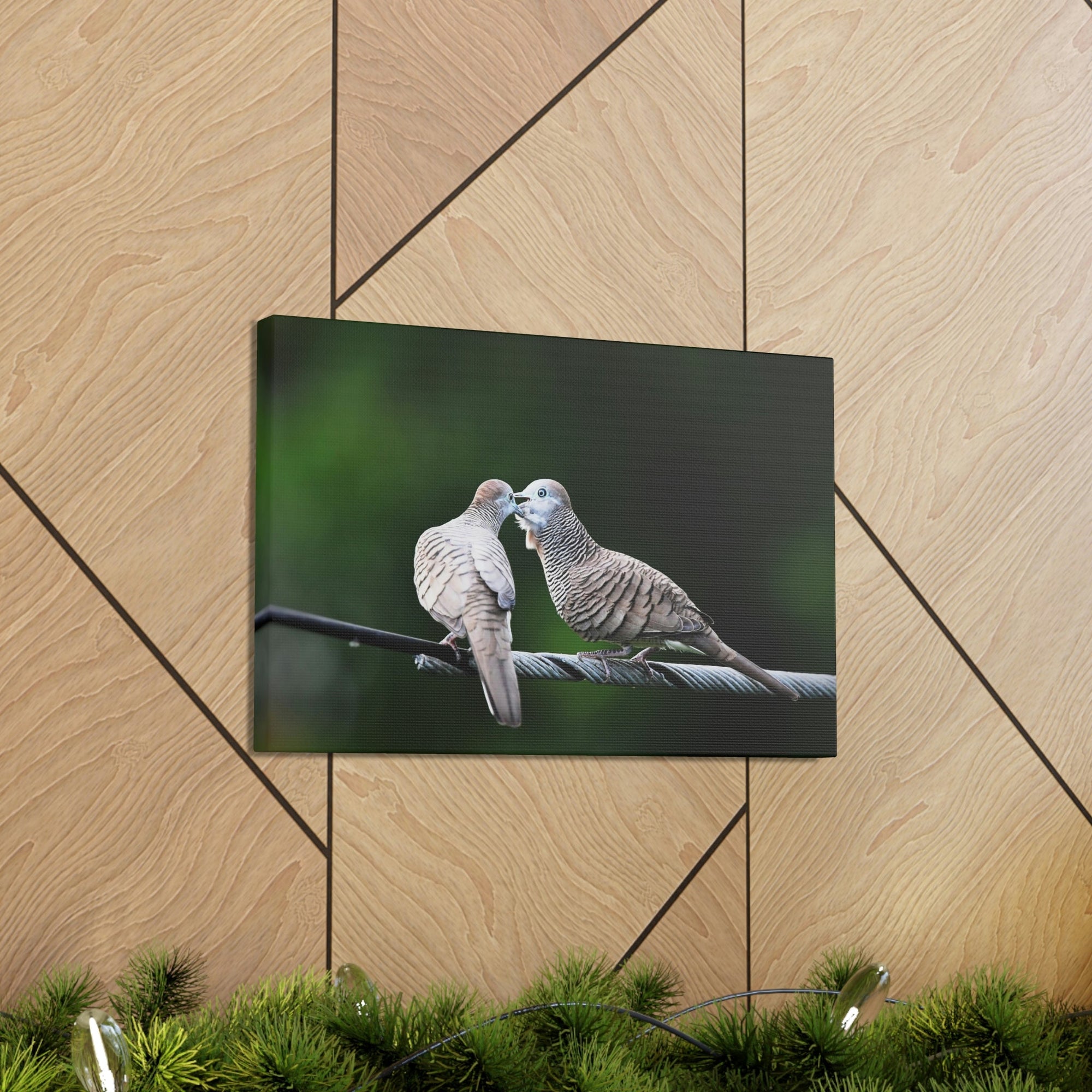 Funny Zebra Dove Silly Zebra Dove Scene Couple Wall Art Ready to Hang Unframed-Express Your Love Gifts