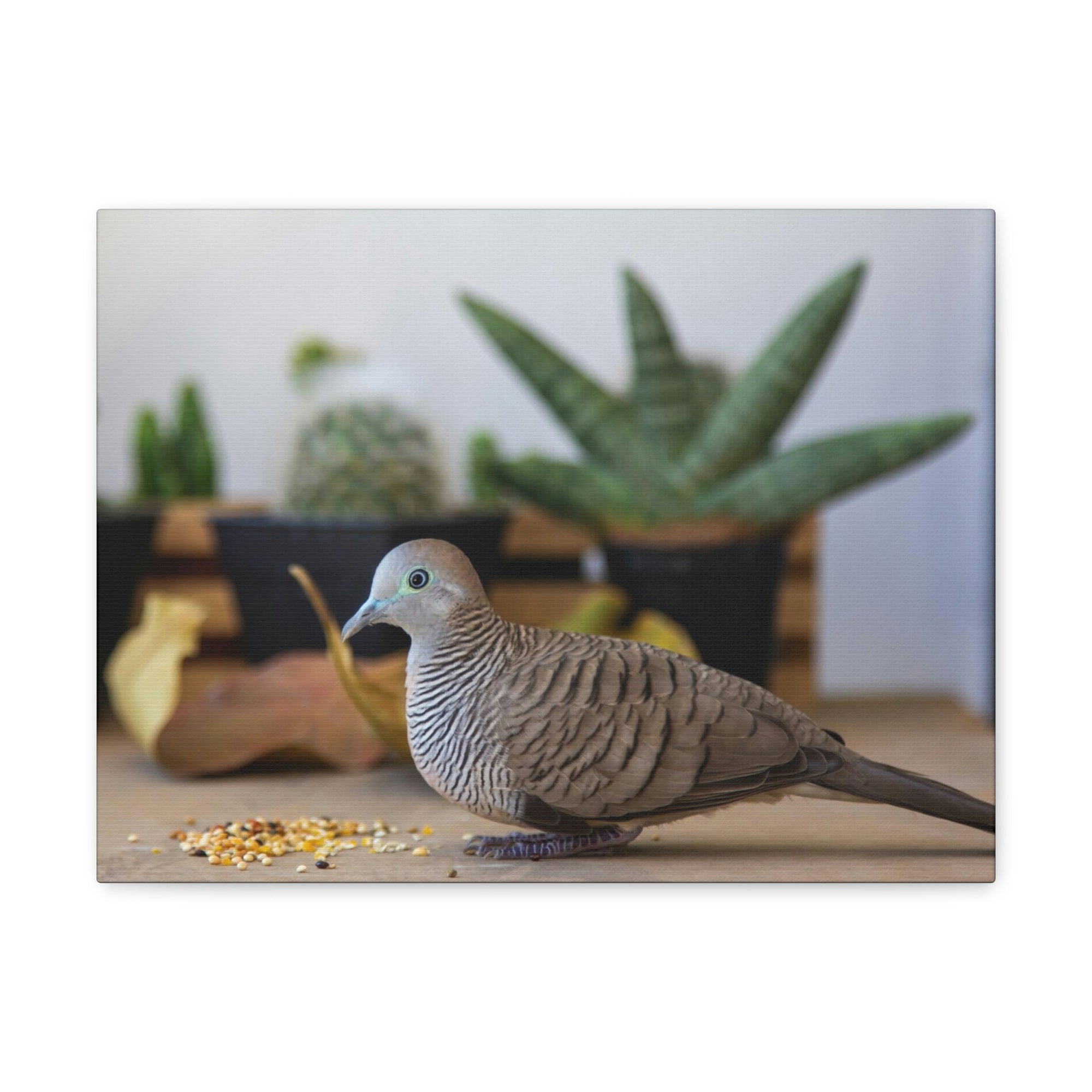 Funny Zebra Dove Silly Zebra Dove Scene Inside Wall Art Ready to Hang Unframed-Express Your Love Gifts