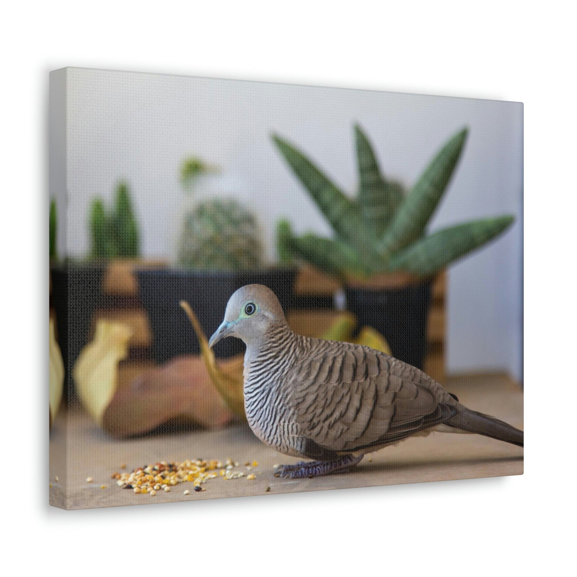 Funny Zebra Dove Silly Zebra Dove Scene Inside Wall Art Ready to Hang Unframed-Express Your Love Gifts