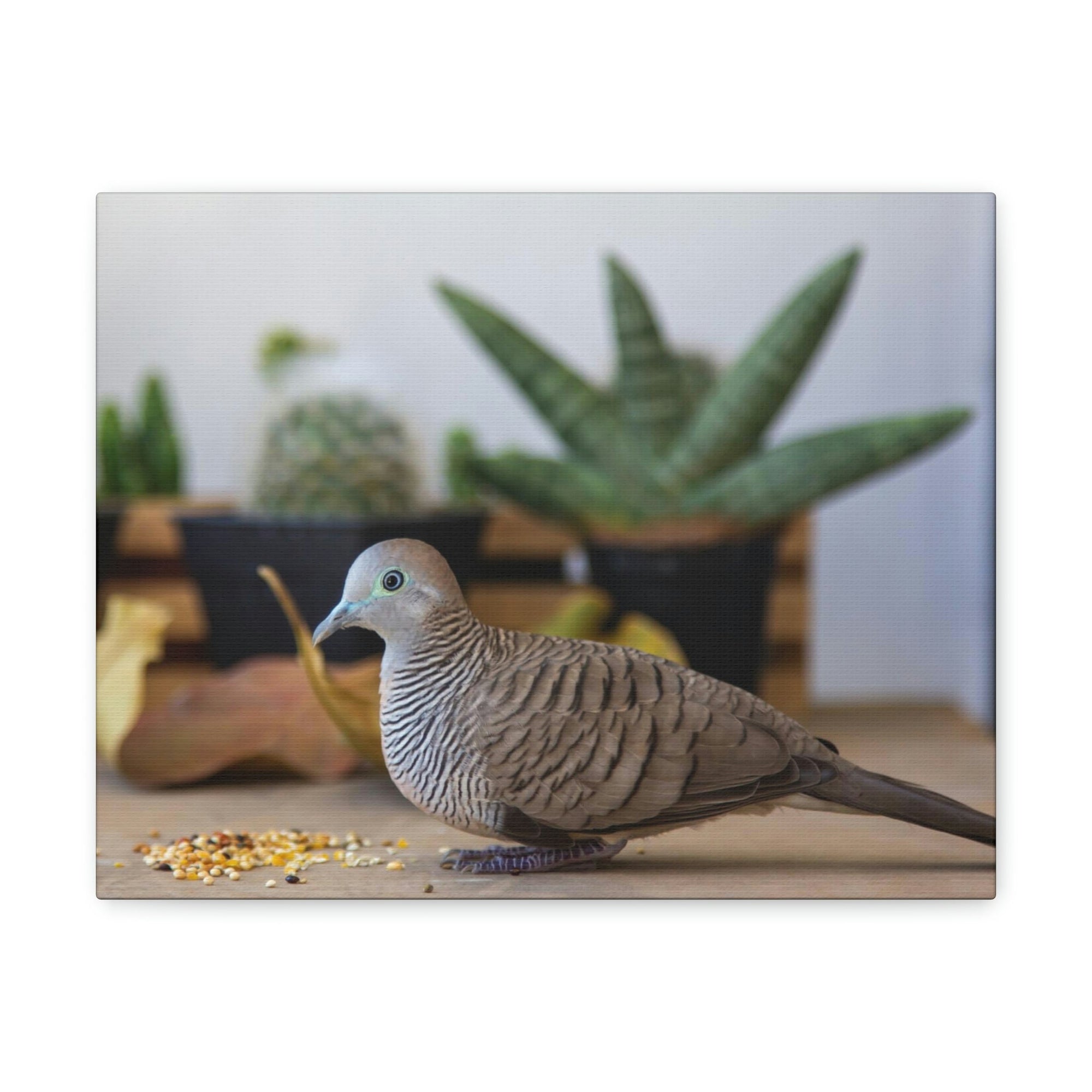 Funny Zebra Dove Silly Zebra Dove Scene Inside Wall Art Ready to Hang Unframed-Express Your Love Gifts