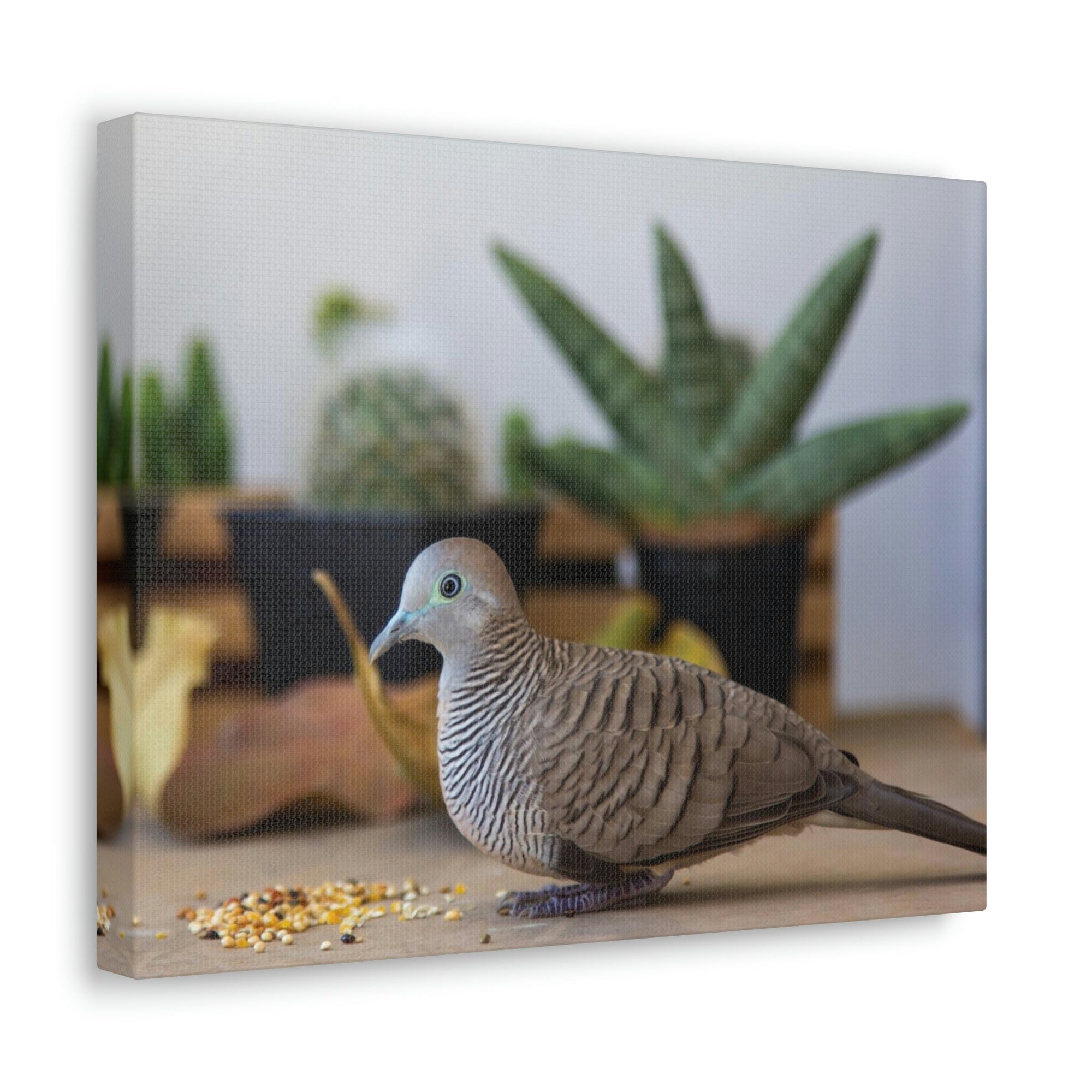 Funny Zebra Dove Silly Zebra Dove Scene Inside Wall Art Ready to Hang Unframed-Express Your Love Gifts