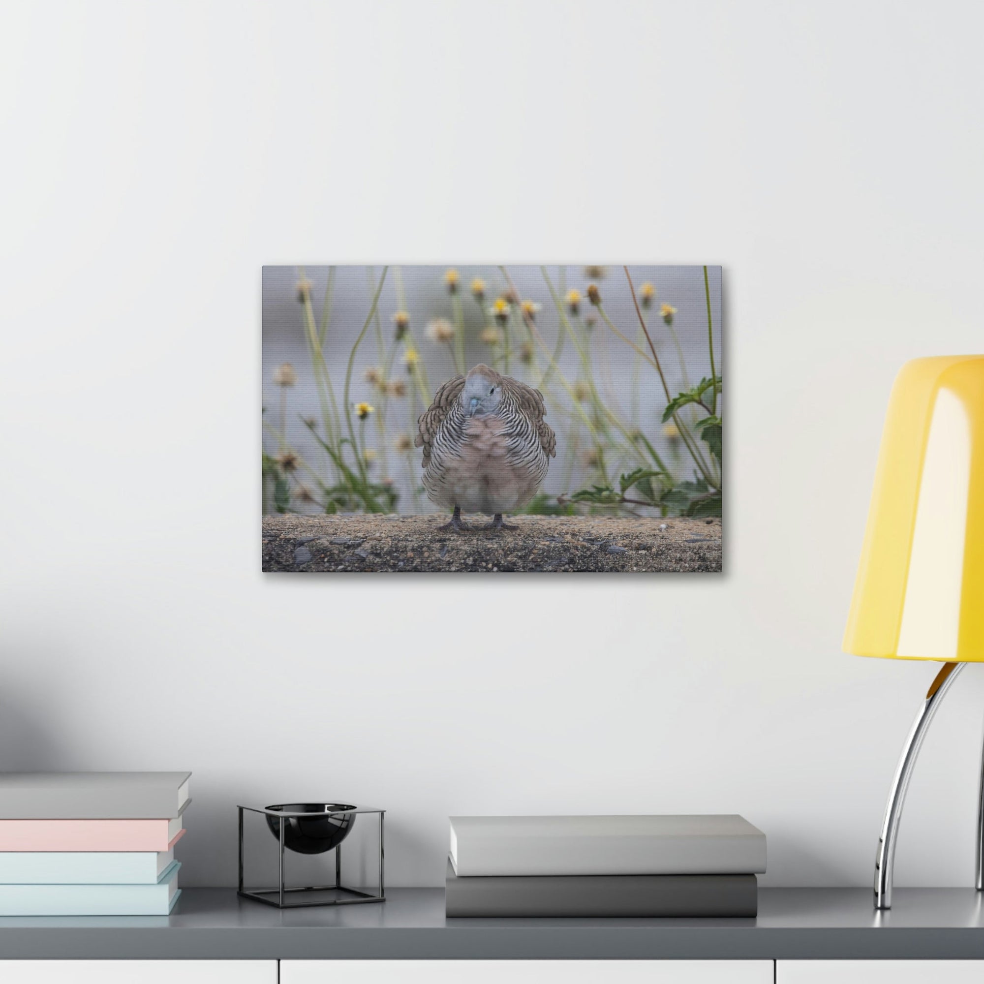 Funny Zebra Dove Silly Zebra Dove Scene Outside Wall Art Ready to Hang Unframed-Express Your Love Gifts